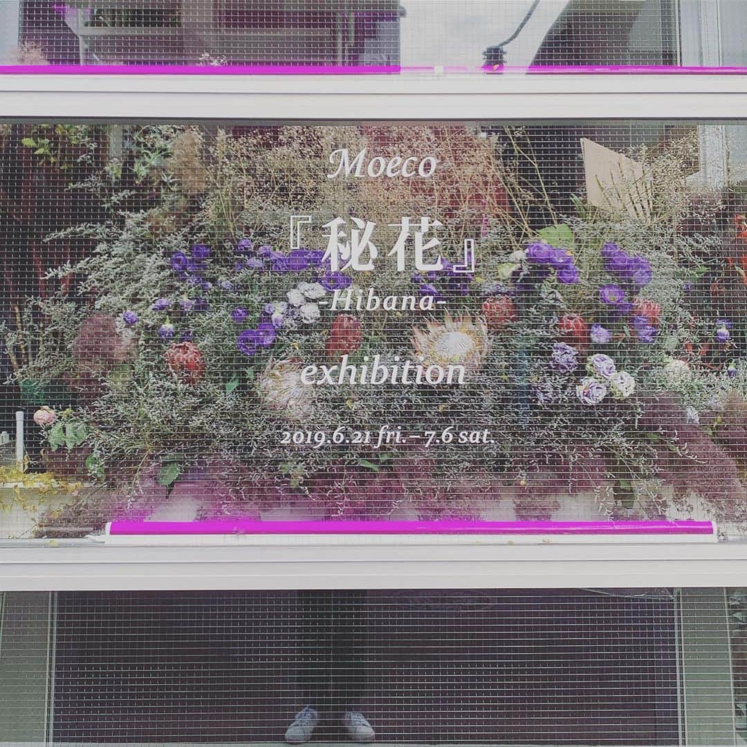 崎山一葉さんのインスタグラム写真 - (崎山一葉Instagram)「7/6まで開催の チョークアーティスト Moeco 全書き下ろしの個展 ✨ 『秘花』-HIBANA-  萌子ちゃんの作品を観に行きました！ 会場はお花で彩られていて、艶やか💓  4月には、桜が咲き誇る目黒川の近くが会場。 この時期は散ってしまっているけど、萌子ちゃんの【徒桜】という大きな作品が、桜を観せてくれました🌸🌸🌸✨ ・ チョークアートにラインストーンを贅沢にあしらったこの絵は、２０００個ものスワロフスキーを使用したのだとか…😍 圧巻でした‼︎ 作品とアーティストの存在観が、こんなにも合致するのかと思う位、萌子ワールド👏 とことん引き込まれたい😆  #チョークアート #moeco」6月30日 15時39分 - kazuha_sakiyama