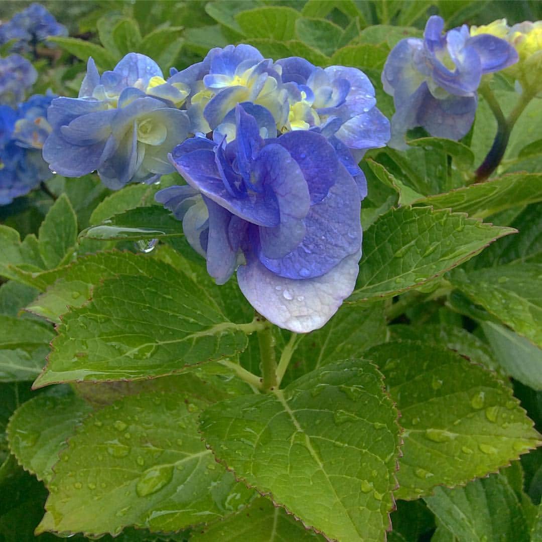 祥吉のグルメインスタ