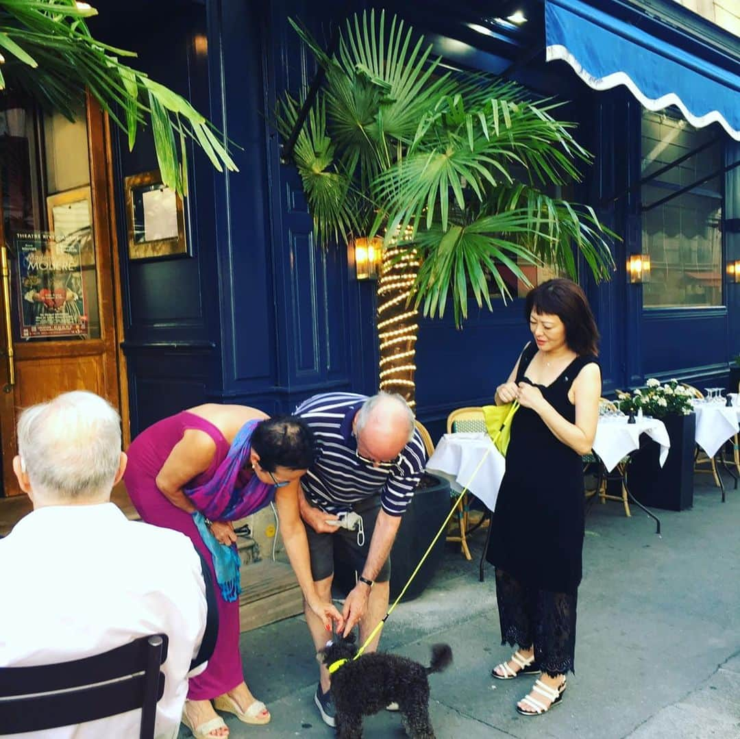 NAOMIさんのインスタグラム写真 - (NAOMIInstagram)「トゥさん parisでも大人気♡  #wanに優しい国France #トゥさん人気者 #Petitcaniche」7月1日 1時46分 - naominakano703