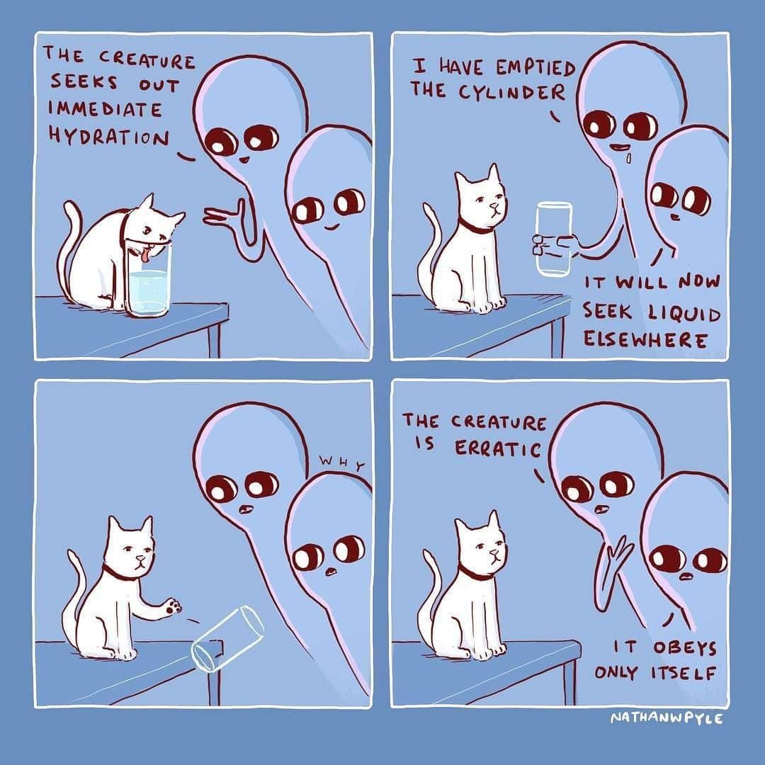 Aww Clubさんのインスタグラム写真 - (Aww ClubInstagram)「This creature is erratic ⠀ ⠀ ✍🏼@nathanwpylestrangeplanet by @nathanwpyle ⠀ ⠀ #meowed #doodles #9gagmeowdle #nathanwpylestrangeplanet #catcomic #meowedcomic」7月1日 2時00分 - meowed