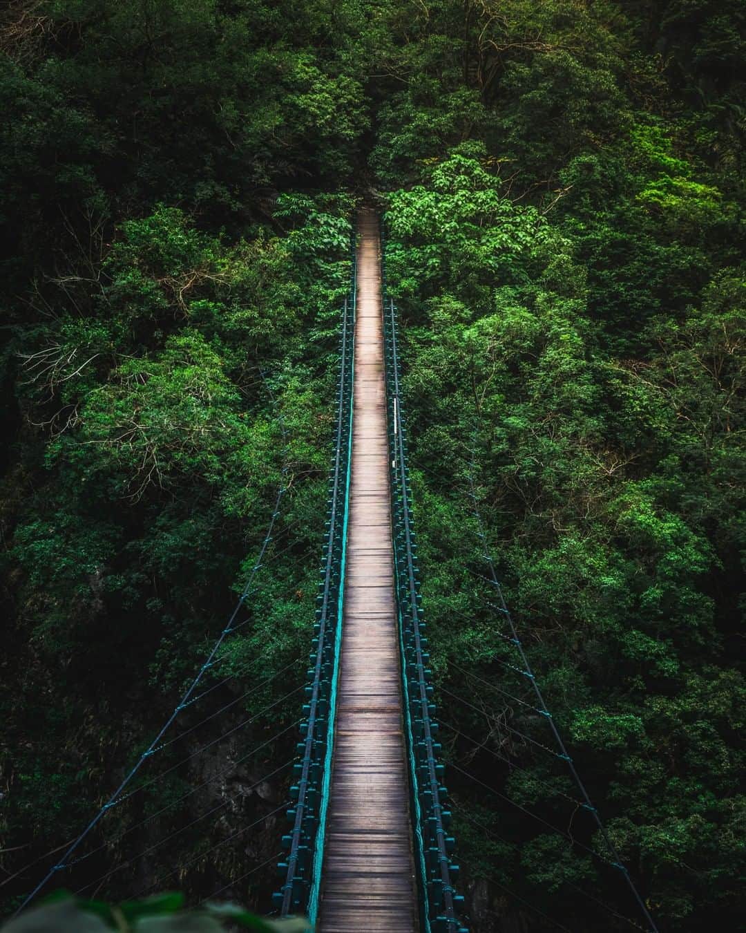 Lonely Planetさんのインスタグラム写真 - (Lonely PlanetInstagram)「'Last shot of my #Taiwan journey! We came across a beautiful suspended bridge in between the two valleys of Taroko National Park in #Hualien on the east coast of Taiwan. Taroko National Park is one of 9 national parks in Taiwan, and was definitely one of the highlights of my trip. I’m now headed off to the next country on my bucket list, thanks for having me!' – @pr4w -- That's all for this weekend's takeover! Tap our bio link for more info on visiting Taiwan!」7月1日 2時00分 - lonelyplanet