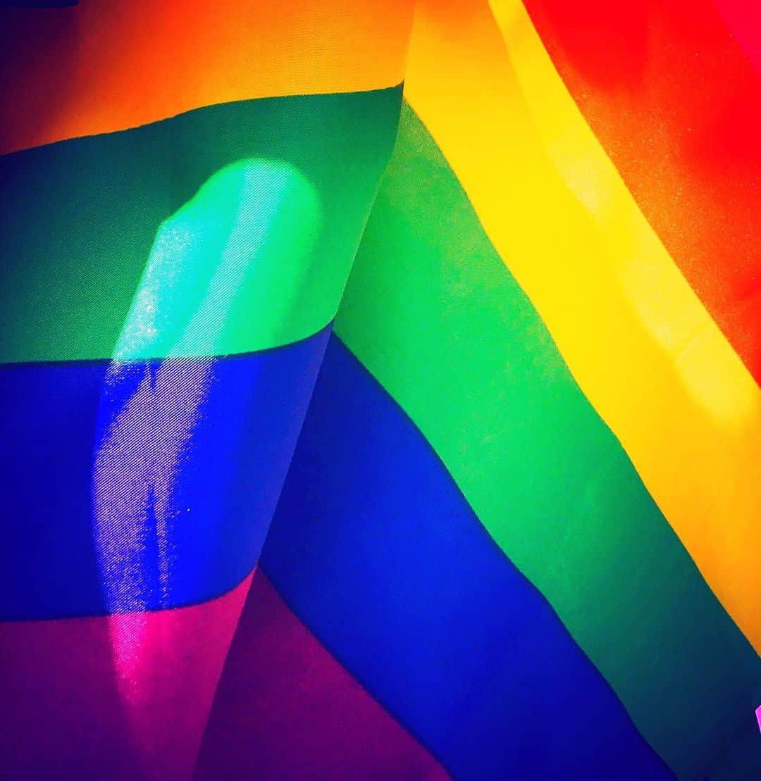 メリッサ・ラウシュさんのインスタグラム写真 - (メリッサ・ラウシュInstagram)「In honor of #worldpride just wanted to share some info with you all about an amazing organization that I love so much. @gendernation empowers and validates children through access to uplifting, inclusive stories that demonstrate the full spectrum of sexuality and gender identity. School libraries can become sanctuaries, when filled with messages of support and inclusivity! Gender Nation’s mission is to donate books to those libraries for LGBTQ+ kids! In turn, helping to minimize bullying, foster a better learning environment, and improve the odds of creating better citizens for today's society. Every donation goes directly to putting these wonderful books in schools! Link in my bio! #worldpride2019 #pride」7月1日 2時39分 - melissarauch