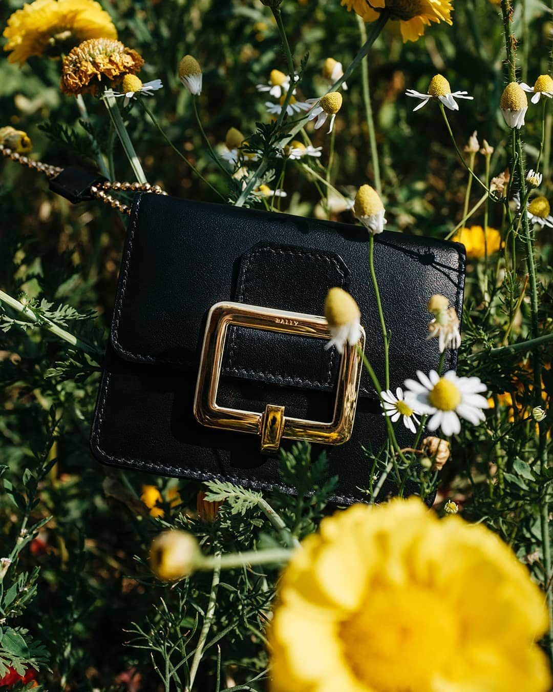 バリーさんのインスタグラム写真 - (バリーInstagram)「Big buckles, small accessories. Pair your #BallyJanelle bag with its matching little key chain wallet, now available on bally.com #Bally」6月30日 18時05分 - bally