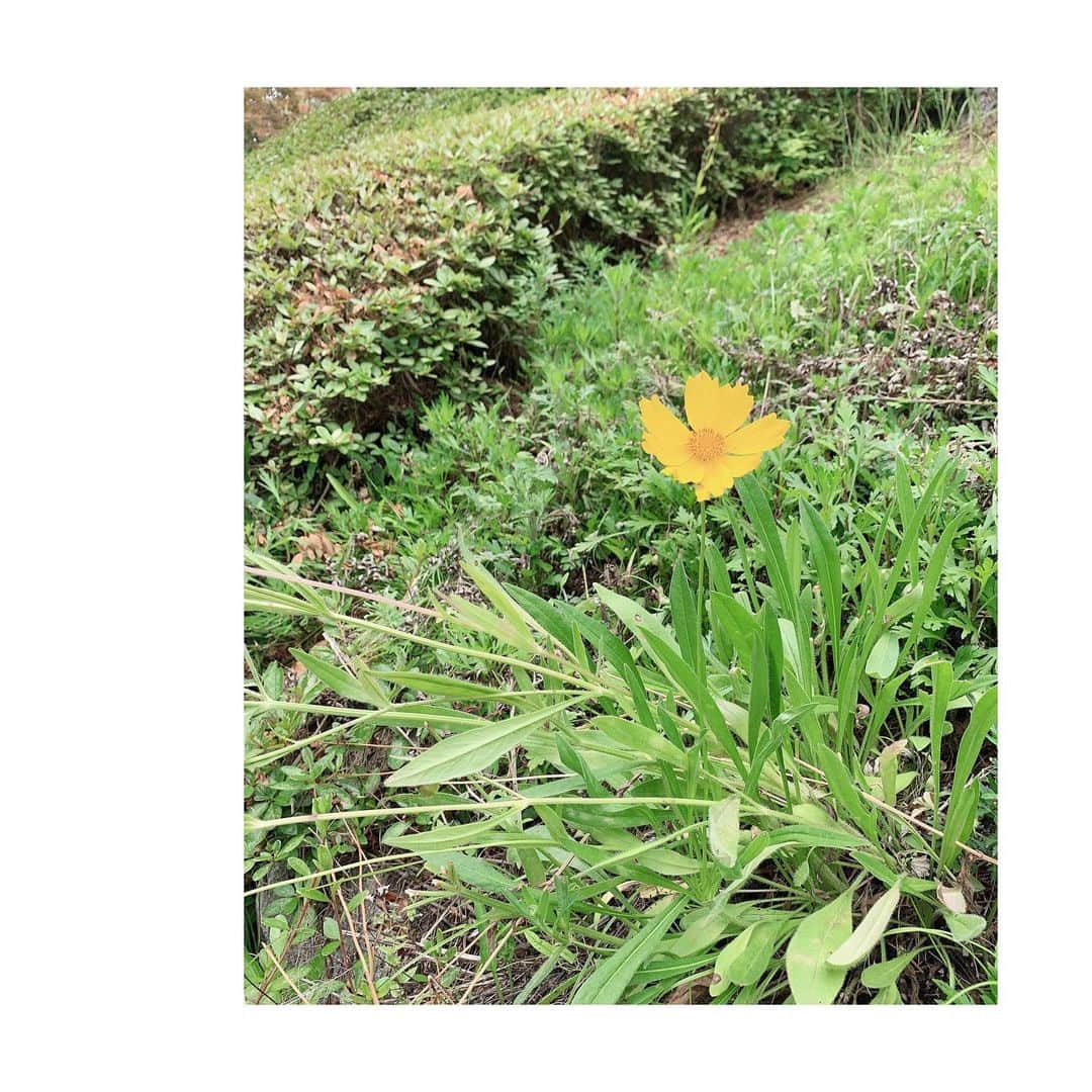 チョン・ユミのインスタグラム：「🙏」