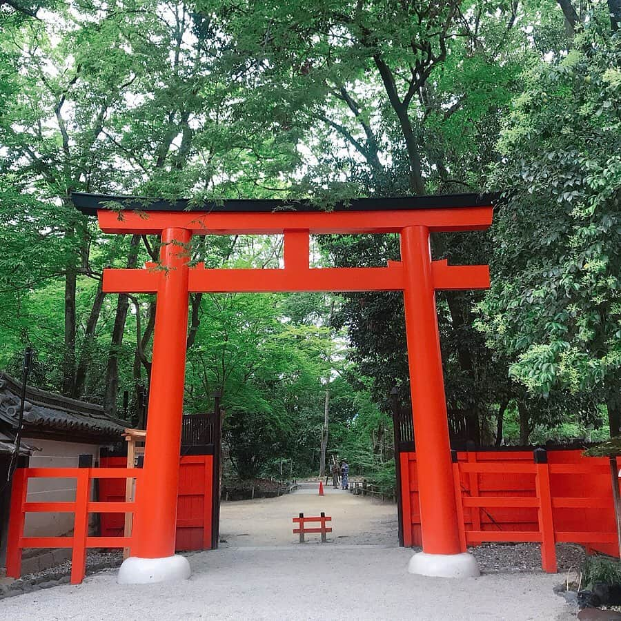 小野寺結衣さんのインスタグラム写真 - (小野寺結衣Instagram)「・﻿ ⛩🎋⛩✨⛩🍃⛩🇯🇵﻿ ﻿ ﻿ ﻿ 数年ぶり、2回目の下鴨神社へ﻿ ﻿ ﻿ ✔️下鴨神社の七不思議のうちの一つ、連理の賢木﻿ (8枚目)﻿ 3本ある御神木のうち2本は幹が途中からくっついてるので縁結びの御神木ともされているそう。﻿ ﻿ またしっかり手を合わせてきました！☺💖👏﻿ ﻿ ﻿ ﻿ ✔️河合神社では念願の #鏡絵馬 ⭐️﻿ 丁寧に描きたかったけど蚊がすごくて刺されまくり﻿ (虫除けスプレーは無意味でした😨)﻿ もう耐えきれずモノ凄いスピードで描いたら‥😅な仕上がりに。﻿ ﻿ まつ毛や髪の毛を生やしてみたら﻿ 何だかギャルチックになってしまったけど﻿ しっかり心は込めてきました🌸笑﻿ ﻿ ﻿ たくさん深呼吸してすっきり🌱﻿ 心が洗われたので内なる美を目指します🙈🔆﻿ ﻿ ﻿ ﻿ #下鴨神社 #賀茂御祖神社 #加茂葵﻿ #七不思議 #相生社 #連理の賢木﻿ #糺の森 #世界文化遺産﻿ #河合神社 #美麗祈願 #美人祈願﻿ #kyoto #京都 #japan #🇯🇵﻿ #干支のお社 わたしは #🐏﻿ #小野寺京都旅」6月30日 18時13分 - yui_onodera0831