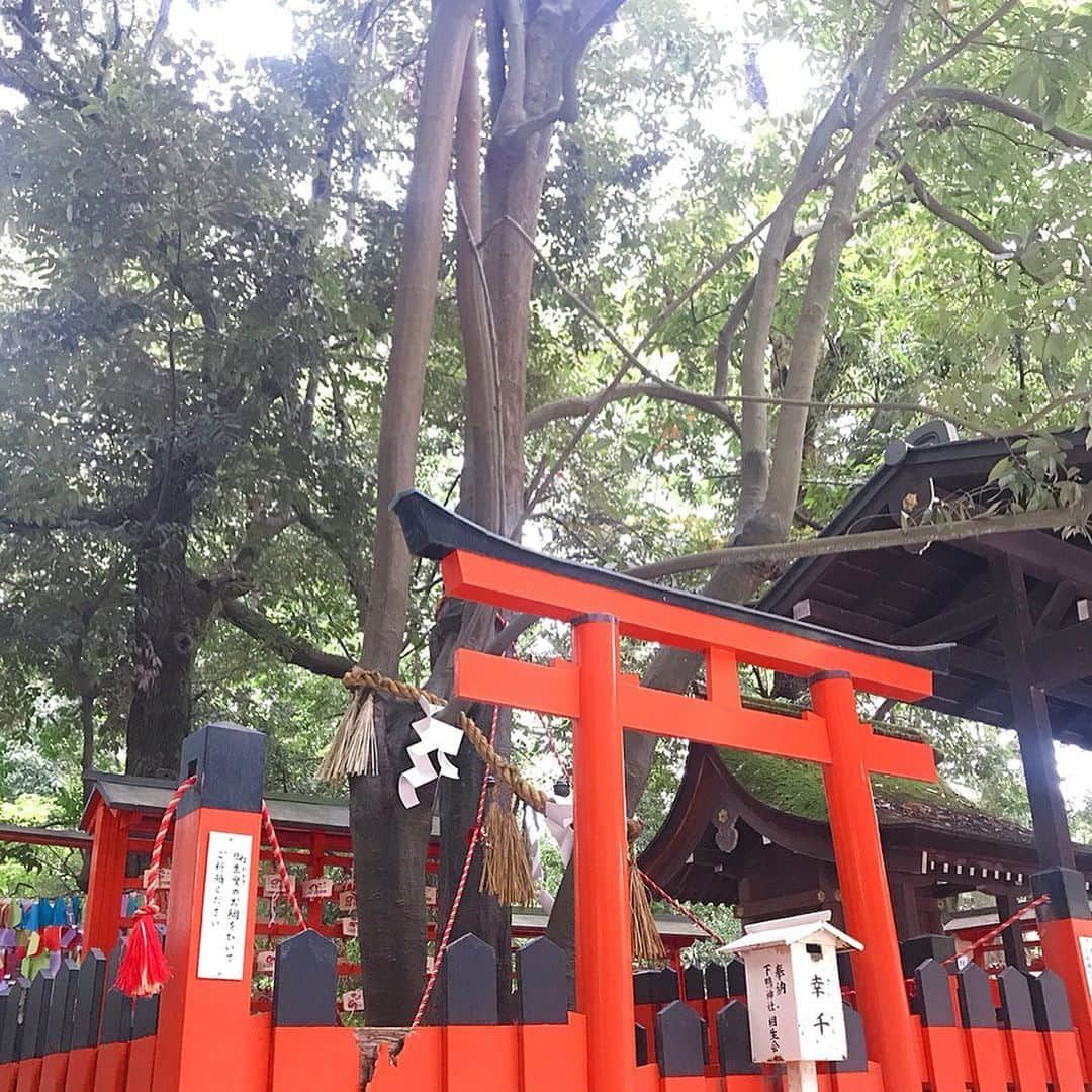 小野寺結衣さんのインスタグラム写真 - (小野寺結衣Instagram)「・﻿ ⛩🎋⛩✨⛩🍃⛩🇯🇵﻿ ﻿ ﻿ ﻿ 数年ぶり、2回目の下鴨神社へ﻿ ﻿ ﻿ ✔️下鴨神社の七不思議のうちの一つ、連理の賢木﻿ (8枚目)﻿ 3本ある御神木のうち2本は幹が途中からくっついてるので縁結びの御神木ともされているそう。﻿ ﻿ またしっかり手を合わせてきました！☺💖👏﻿ ﻿ ﻿ ﻿ ✔️河合神社では念願の #鏡絵馬 ⭐️﻿ 丁寧に描きたかったけど蚊がすごくて刺されまくり﻿ (虫除けスプレーは無意味でした😨)﻿ もう耐えきれずモノ凄いスピードで描いたら‥😅な仕上がりに。﻿ ﻿ まつ毛や髪の毛を生やしてみたら﻿ 何だかギャルチックになってしまったけど﻿ しっかり心は込めてきました🌸笑﻿ ﻿ ﻿ たくさん深呼吸してすっきり🌱﻿ 心が洗われたので内なる美を目指します🙈🔆﻿ ﻿ ﻿ ﻿ #下鴨神社 #賀茂御祖神社 #加茂葵﻿ #七不思議 #相生社 #連理の賢木﻿ #糺の森 #世界文化遺産﻿ #河合神社 #美麗祈願 #美人祈願﻿ #kyoto #京都 #japan #🇯🇵﻿ #干支のお社 わたしは #🐏﻿ #小野寺京都旅」6月30日 18時13分 - yui_onodera0831