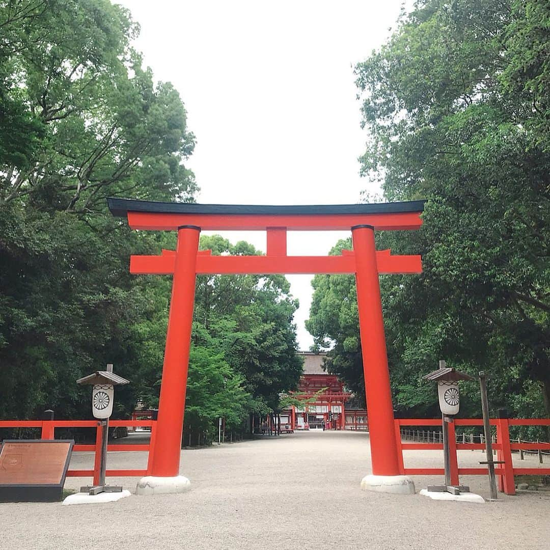 小野寺結衣さんのインスタグラム写真 - (小野寺結衣Instagram)「・﻿ ⛩🎋⛩✨⛩🍃⛩🇯🇵﻿ ﻿ ﻿ ﻿ 数年ぶり、2回目の下鴨神社へ﻿ ﻿ ﻿ ✔️下鴨神社の七不思議のうちの一つ、連理の賢木﻿ (8枚目)﻿ 3本ある御神木のうち2本は幹が途中からくっついてるので縁結びの御神木ともされているそう。﻿ ﻿ またしっかり手を合わせてきました！☺💖👏﻿ ﻿ ﻿ ﻿ ✔️河合神社では念願の #鏡絵馬 ⭐️﻿ 丁寧に描きたかったけど蚊がすごくて刺されまくり﻿ (虫除けスプレーは無意味でした😨)﻿ もう耐えきれずモノ凄いスピードで描いたら‥😅な仕上がりに。﻿ ﻿ まつ毛や髪の毛を生やしてみたら﻿ 何だかギャルチックになってしまったけど﻿ しっかり心は込めてきました🌸笑﻿ ﻿ ﻿ たくさん深呼吸してすっきり🌱﻿ 心が洗われたので内なる美を目指します🙈🔆﻿ ﻿ ﻿ ﻿ #下鴨神社 #賀茂御祖神社 #加茂葵﻿ #七不思議 #相生社 #連理の賢木﻿ #糺の森 #世界文化遺産﻿ #河合神社 #美麗祈願 #美人祈願﻿ #kyoto #京都 #japan #🇯🇵﻿ #干支のお社 わたしは #🐏﻿ #小野寺京都旅」6月30日 18時13分 - yui_onodera0831