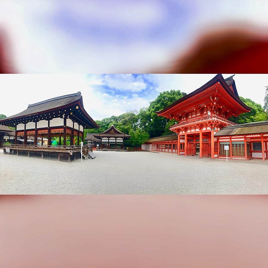 小野寺結衣さんのインスタグラム写真 - (小野寺結衣Instagram)「・﻿ ⛩🎋⛩✨⛩🍃⛩🇯🇵﻿ ﻿ ﻿ ﻿ 数年ぶり、2回目の下鴨神社へ﻿ ﻿ ﻿ ✔️下鴨神社の七不思議のうちの一つ、連理の賢木﻿ (8枚目)﻿ 3本ある御神木のうち2本は幹が途中からくっついてるので縁結びの御神木ともされているそう。﻿ ﻿ またしっかり手を合わせてきました！☺💖👏﻿ ﻿ ﻿ ﻿ ✔️河合神社では念願の #鏡絵馬 ⭐️﻿ 丁寧に描きたかったけど蚊がすごくて刺されまくり﻿ (虫除けスプレーは無意味でした😨)﻿ もう耐えきれずモノ凄いスピードで描いたら‥😅な仕上がりに。﻿ ﻿ まつ毛や髪の毛を生やしてみたら﻿ 何だかギャルチックになってしまったけど﻿ しっかり心は込めてきました🌸笑﻿ ﻿ ﻿ たくさん深呼吸してすっきり🌱﻿ 心が洗われたので内なる美を目指します🙈🔆﻿ ﻿ ﻿ ﻿ #下鴨神社 #賀茂御祖神社 #加茂葵﻿ #七不思議 #相生社 #連理の賢木﻿ #糺の森 #世界文化遺産﻿ #河合神社 #美麗祈願 #美人祈願﻿ #kyoto #京都 #japan #🇯🇵﻿ #干支のお社 わたしは #🐏﻿ #小野寺京都旅」6月30日 18時13分 - yui_onodera0831