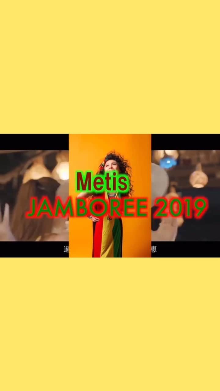 Metisのインスタグラム