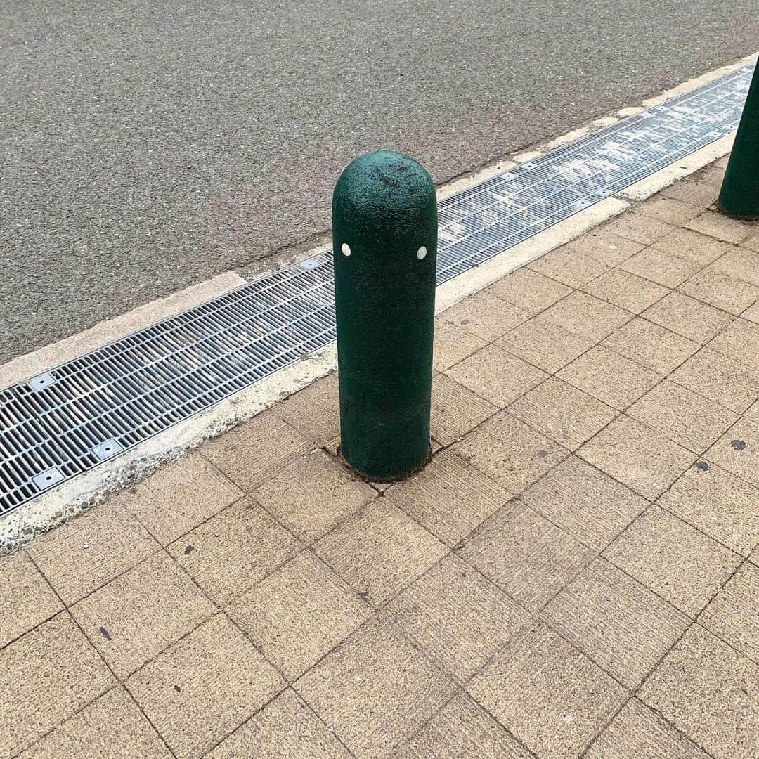 のインスタグラム：「視線をかんじる。 #shimukappu」