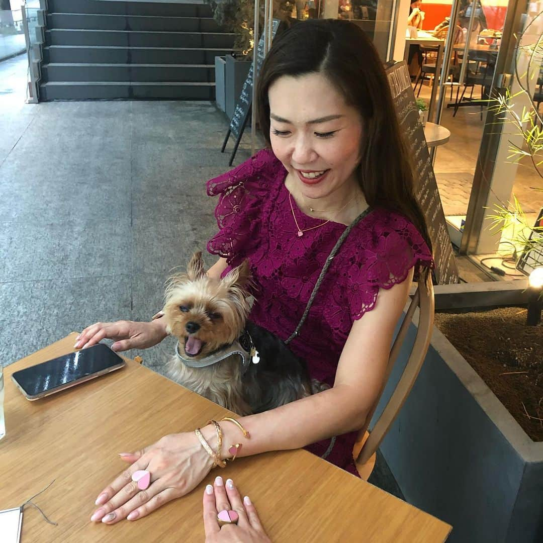 Rubyさんのインスタグラム写真 - (RubyInstagram)「ㅤㅤㅤㅤㅤㅤㅤㅤㅤㅤㅤㅤㅤ 🐶💬 chilling at the cafe on the rainy day ☔️ カフェでお茶してきたよ。 ㅤㅤㅤㅤㅤㅤㅤㅤㅤㅤㅤㅤㅤ ㅤㅤㅤㅤㅤㅤㅤㅤㅤㅤㅤㅤㅤ ちなみにママは今日はカフェのはしご3店舗もしていたよ。 「ママさん、そんなんじゃ太るよ〜😆あたしパンケーキ食べてあげるね」って言ったのに、ママは1人でパクパク食べちゃいました🥞 ㅤㅤㅤㅤㅤㅤㅤㅤㅤㅤㅤㅤㅤ  ① ママのお洋服はビーツ色なんだって。ビーツは着るんじゃなくて食べなきゃね。 ② 🥞 あたしが食べてあげるよ。 ③ ママの親友とママはお揃いがいっぱい。 このカバンはルビーもお揃いだよ。あたしのバッグは真ん中の。ママのお友達のバッグは1番大きいの。ママのは1番小さいサイズ。三姉妹バッグだよ。可愛いでしょ。 ④ ママのカフェ活1: 米粉のマフィンと穀物コーヒー ⑤ ママのカフェ活2: メープルベーコンマフィン。ママはベーコンにはメープルシロップをかけて食べるよ。アメリカンな舌だよね。太るよ、ママさん。 ⑥ パンケーキ美味しそう🥞 ⑦ ⑧ 今日はお揃いアクセってパシャパシャ撮っていたよ。あたしはあくびがでちゃったよ。ママのピアスとネックレスもお揃いだよ。 #yorkie #ヨーキー #yorkshireterrier #ヨークシャテリア #katespade #loveinspades #ケイトスペード #ラブインスペード #六本木ヒルズ #麻布十番 #カフェ活 #朝活」6月30日 19時00分 - ruby_the_yorkie