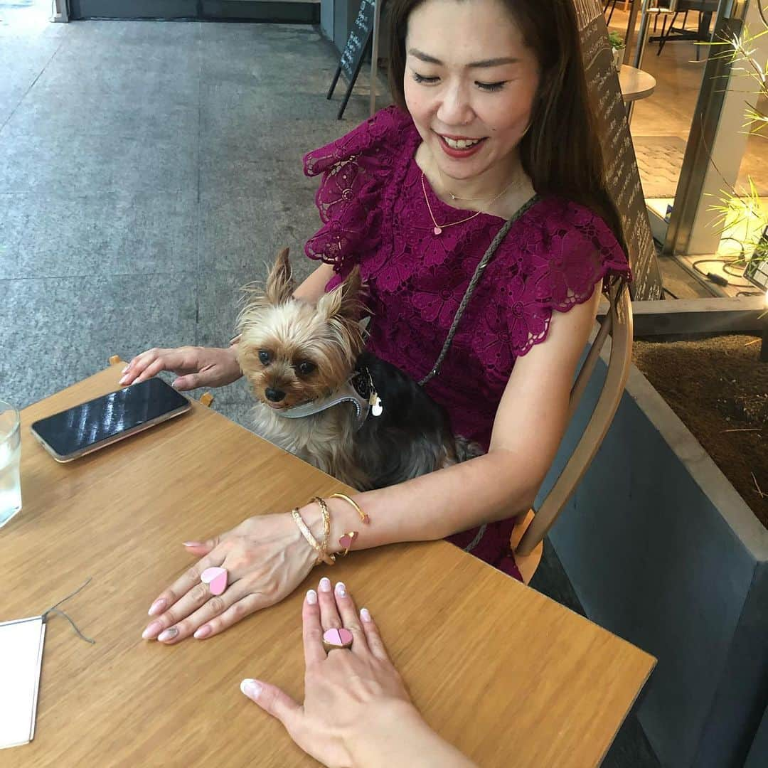 Rubyさんのインスタグラム写真 - (RubyInstagram)「ㅤㅤㅤㅤㅤㅤㅤㅤㅤㅤㅤㅤㅤ 🐶💬 chilling at the cafe on the rainy day ☔️ カフェでお茶してきたよ。 ㅤㅤㅤㅤㅤㅤㅤㅤㅤㅤㅤㅤㅤ ㅤㅤㅤㅤㅤㅤㅤㅤㅤㅤㅤㅤㅤ ちなみにママは今日はカフェのはしご3店舗もしていたよ。 「ママさん、そんなんじゃ太るよ〜😆あたしパンケーキ食べてあげるね」って言ったのに、ママは1人でパクパク食べちゃいました🥞 ㅤㅤㅤㅤㅤㅤㅤㅤㅤㅤㅤㅤㅤ  ① ママのお洋服はビーツ色なんだって。ビーツは着るんじゃなくて食べなきゃね。 ② 🥞 あたしが食べてあげるよ。 ③ ママの親友とママはお揃いがいっぱい。 このカバンはルビーもお揃いだよ。あたしのバッグは真ん中の。ママのお友達のバッグは1番大きいの。ママのは1番小さいサイズ。三姉妹バッグだよ。可愛いでしょ。 ④ ママのカフェ活1: 米粉のマフィンと穀物コーヒー ⑤ ママのカフェ活2: メープルベーコンマフィン。ママはベーコンにはメープルシロップをかけて食べるよ。アメリカンな舌だよね。太るよ、ママさん。 ⑥ パンケーキ美味しそう🥞 ⑦ ⑧ 今日はお揃いアクセってパシャパシャ撮っていたよ。あたしはあくびがでちゃったよ。ママのピアスとネックレスもお揃いだよ。 #yorkie #ヨーキー #yorkshireterrier #ヨークシャテリア #katespade #loveinspades #ケイトスペード #ラブインスペード #六本木ヒルズ #麻布十番 #カフェ活 #朝活」6月30日 19時00分 - ruby_the_yorkie