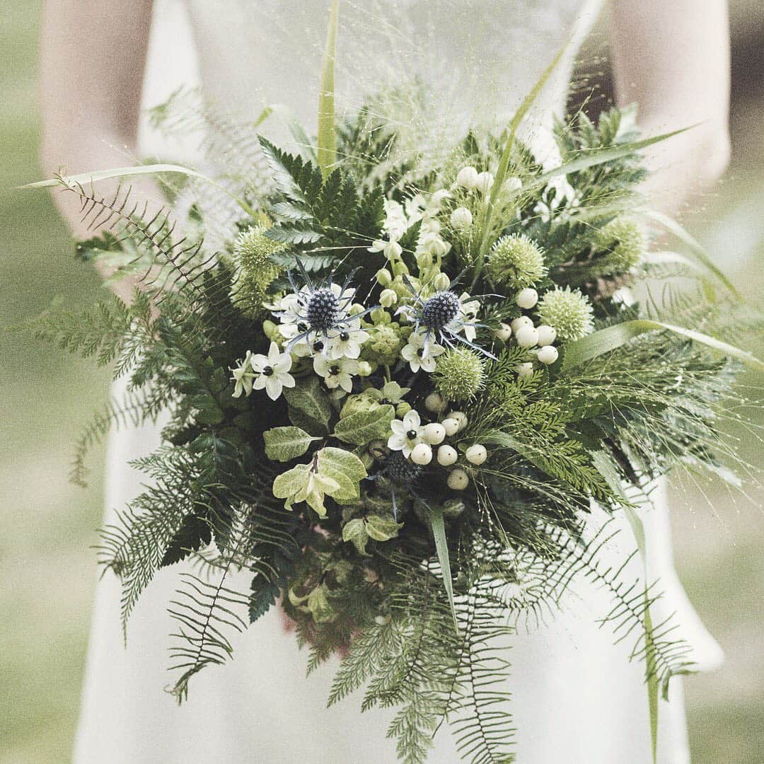 アマンダンヒルズのグルメインスタ