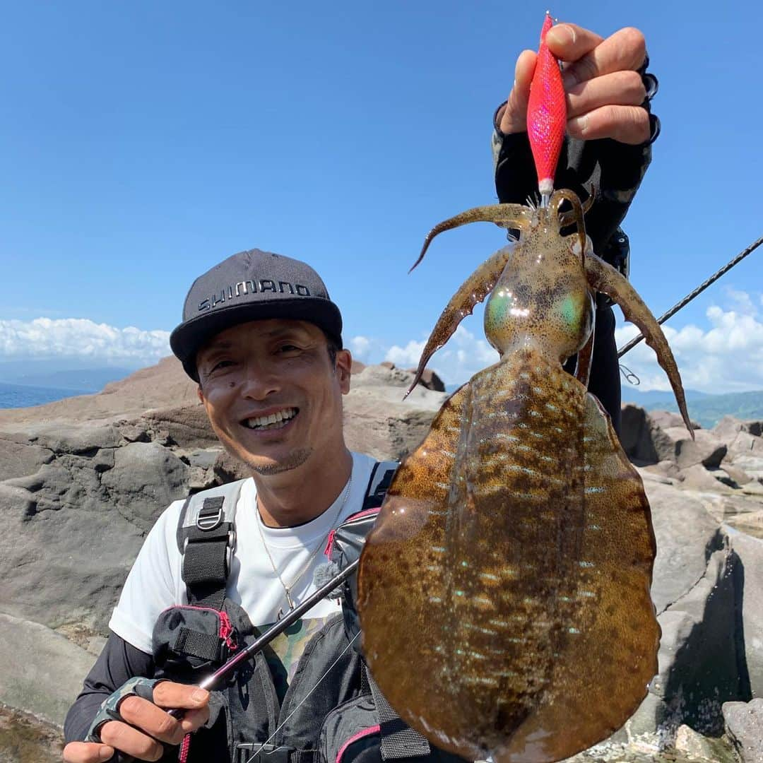 彼方茜香さんのインスタグラム写真 - (彼方茜香Instagram)「squid♥ 真鶴半島での釣り百景は簡単に釣る事は出来んかったけど、行ったことない場所でアオリイカ釣れた事がめちゃくちゃ嬉しかった！ joeさんには磯の移動中ずっとロッド任せて歩かせてもらってました。 磯を歩く時は必ず磯靴履いて、磯ライジャケして下さいね！膨張式だと穴が開く恐れもあります。危険だと感じたら諦めるのも大事やし、満潮干潮も知って行かないと帰れなくなることも。当たり前の事やけど知らない人も多いのでここに書いておきます♪海を知って釣りを楽しむ♪ 見逃した方も近々ネットでご覧いただけると思います(^^)v そして次の釣り百景のロケ予定も決まりました！次はイカじゃないんだぁ♪お楽しみに♪ #釣り百景 #shimanofishing  #真鶴半島 #アオリイカ #エギング」6月30日 20時20分 - serikaochikata