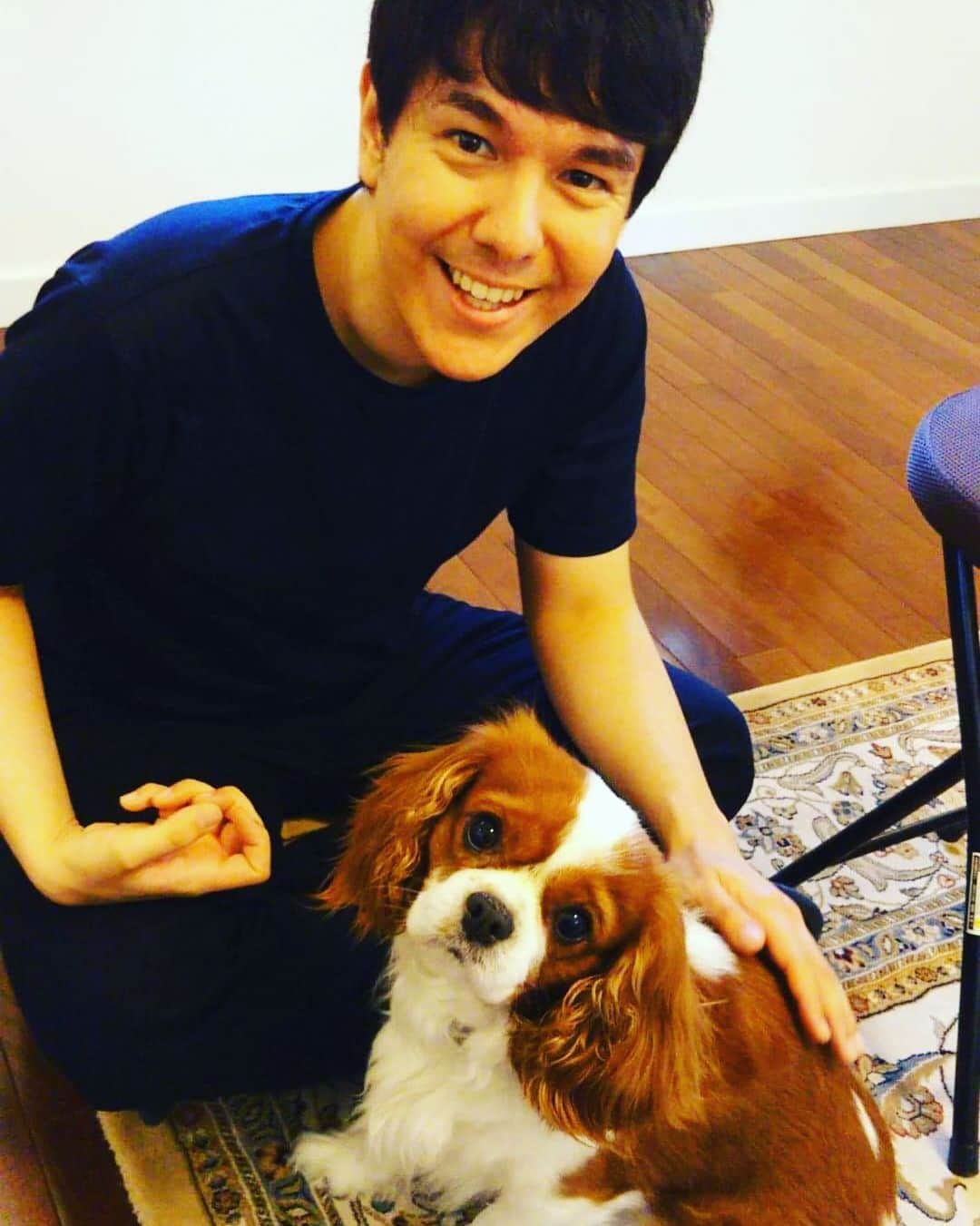 のインスタグラム：「Meeting a new friend 🐶 #Dog #friend #animal #犬 #友達 #仲良し」