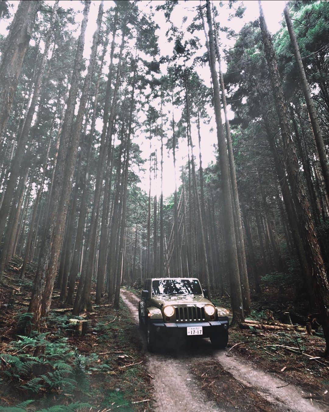 Koichiさんのインスタグラム写真 - (KoichiInstagram)「. . Into the forest 🚙 . . @jobyinc #GorillaPod #JOBY .」6月30日 20時19分 - koichi1717