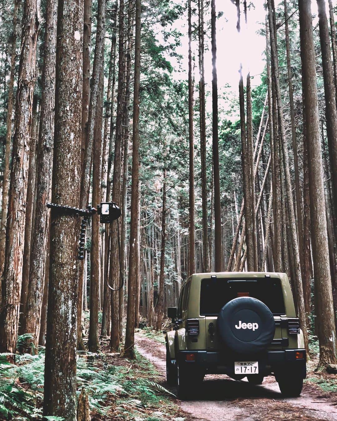 Koichiのインスタグラム：「. . Into the forest 🚙 . . @jobyinc #GorillaPod #JOBY .」