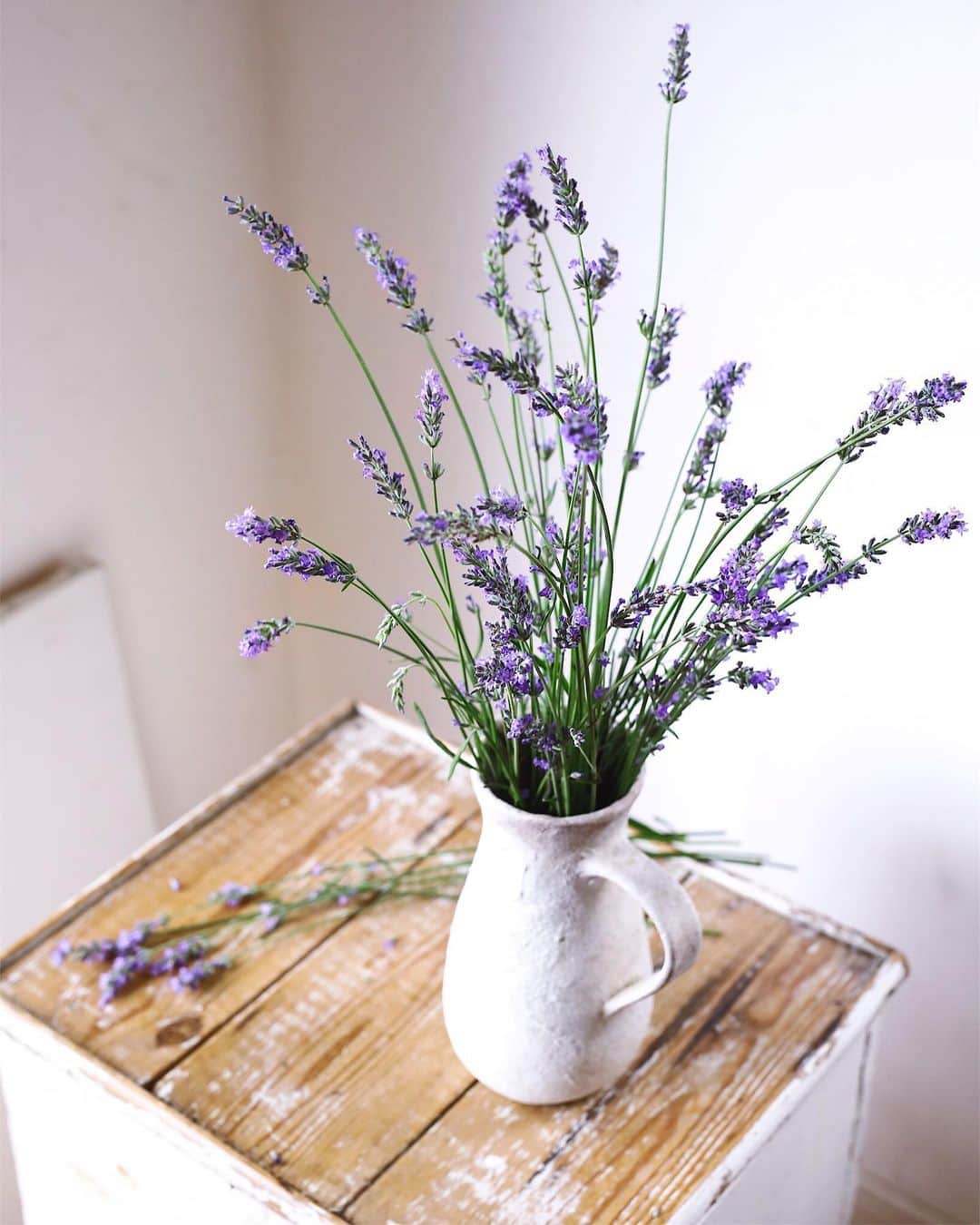 増田由希子さんのインスタグラム写真 - (増田由希子Instagram)「Fresh bunch of lavender💜 #lavenderbouquet #fragrance #lavender 教室の生徒さんからいただいたイングリッシュラベンダー。摘みたてのフレッシュな香りが広がります。 #イングリッシュラベンダー #庭摘みラベンダー #ハーブ」6月30日 20時23分 - nonihana_