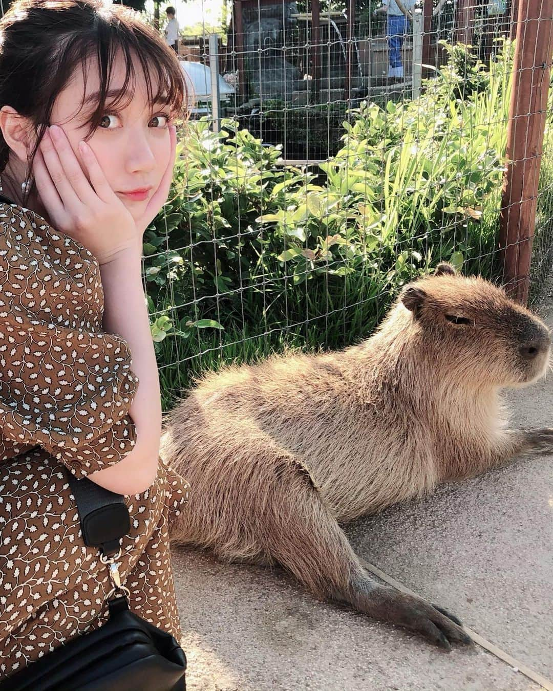 小澤しぇいんさんのインスタグラム写真 - (小澤しぇいんInstagram)「前水族館行った時の写真載せるの忘れちった。 イルカさんいいタイミングで来てくれたの🐬 マンボウもセイウチもペンギン来てくれたの❤️ おざわ動物に好かれるのかも。おざわも動物大好き。最後の動画はペンギンさんと遊んだ時✨ イルカショーも見て、イルカの魅力にハマって大好きになった♡ この日のお洋服は前にも載せたセットアップ🐈 実は同じの後2色持ってる。 お気に入り💕 #titivate  #ティティベイト #リーフプリントパフスリーブブラウス #リーフプリントフレアロングスカート #titivatestyle #シンプルコーデ #coordinate #ootd #instagood @titivatejp」6月30日 20時54分 - 1217_shane