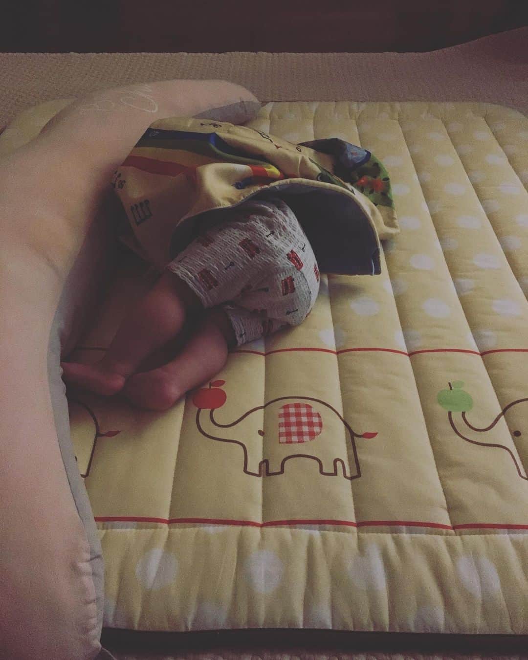 百千糸さんのインスタグラム写真 - (百千糸Instagram)「お風呂上がりリビングにて寝落ち 「頭隠して尻隠さず」」6月30日 21時13分 - junko_ichida