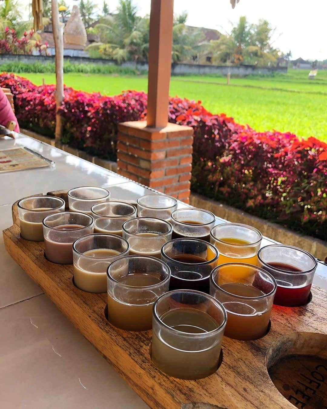 ノウィキ茉莉さんのインスタグラム写真 - (ノウィキ茉莉Instagram)「Coffee tasting in Ubud, Bali! What an experience! Tried a cup of Luwak Coffee for the first time which is the most expensive coffee in the world! It was delicious, but you probably wouldn’t want to know what it’s actually made out of 🤢😂 There were also different teas and coffees they provided for us which was all free!! The view was also so so beautiful 😍  ピアスは母が作りました良かったらお問い合わせを @kazukonowicki」6月30日 21時47分 - kristen.marii