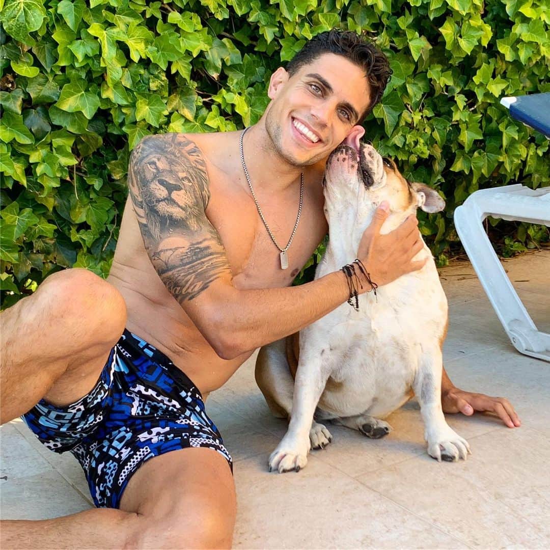 マルク・バルトラのインスタグラム：「My Love! 😍🐶☀️ #Nina #Gordeta #EnglishBulldog #dog #Love #LoveYou」