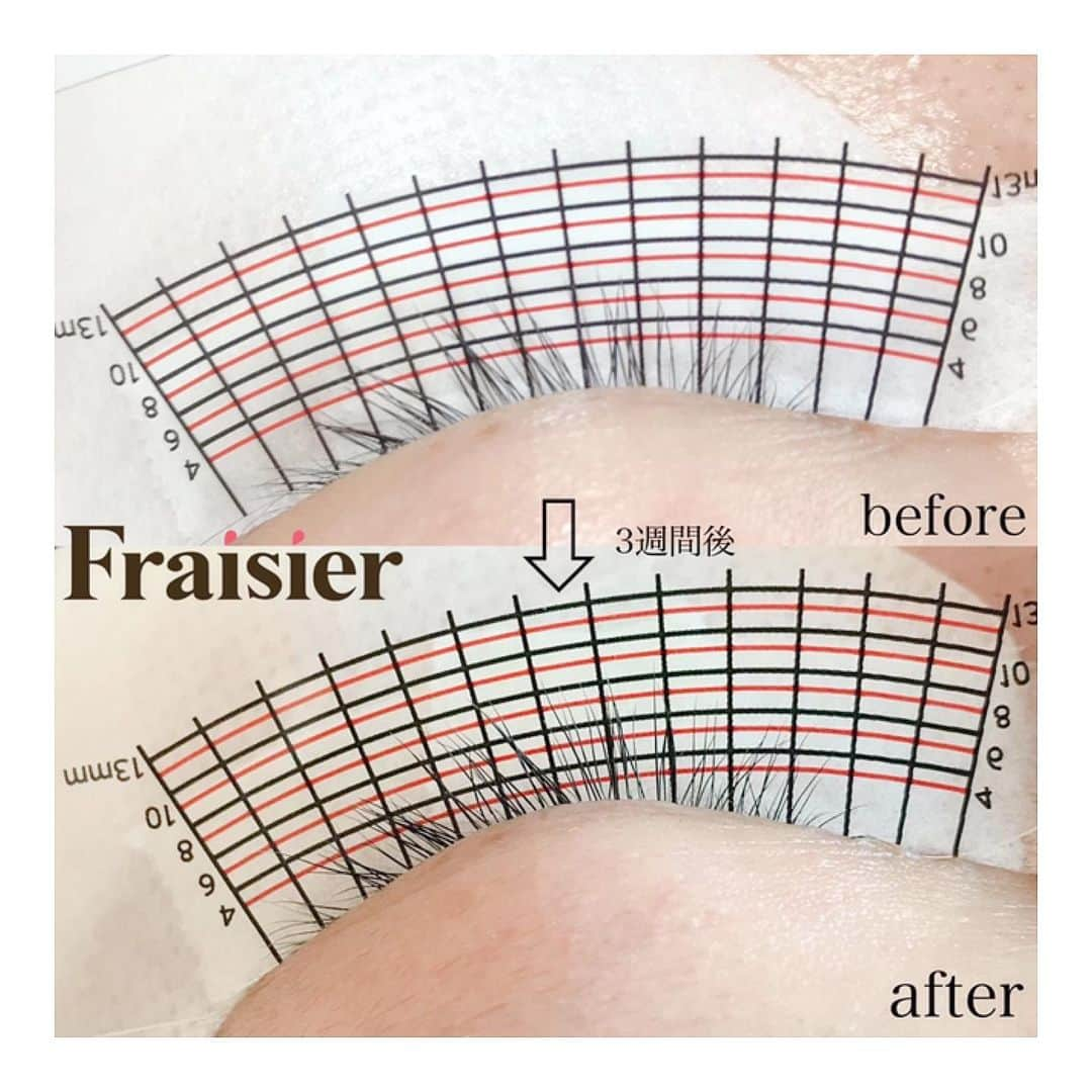 フレジエさんのインスタグラム写真 - (フレジエInstagram)「【最新育毛メニュー】ラッシュアディクト7月1日より、ご案内開始🥳  超音波マシンによるマッサージで血行促進させ、特許取得の高濃度美容液を皮膚の奥底まで届けます✨✨ 施術前に自まつ毛の計測も行いますのでご自身のまつ毛の状態も確認できます🔎  今までのケアでは実現できなかった効果を最短3週間で実感できます👏 🍒こんな方にオススメ🍒 ◎まつ毛が傷んで細くなった方 ◎まつ毛が元々細く短い方 ◎まつ毛のハリコシが欲しい方 ◎まつ毛が少なく増やしたい方 ◎まつ毛エクステの本数を増やしたい方 ◎眉毛が生えてない部分がある方  初回 ¥5,600 3週間以内 ¥5,200 プレミアム会員料金 ¥6,400 通常 ¥8,000  初回のみ ホームケアセット¥14,000 (全て税抜き) まつ毛、眉毛共に育毛できるメニューです！気になる方は是非スタッフにお問い合わせ下さい🙆🏻 ※超音波マシンを使用するためご妊娠中の方は施術出来かねます。 ※初回はまつ毛の計測があるためエクステを外して頂きます。  ご不明点は店舗に直接お問い合わせください。 写真は、ハリのないまつ毛が、しっかりと濃さ・全体的に長さも出てきています✨ #fraisier_eyelash  #ラッシュアディクト #ラッシュアディクト導入サロン #ラッシュアディクト東京 #マツエク #まつ育  #まつ育サロン」6月30日 21時58分 - __belle.journee__