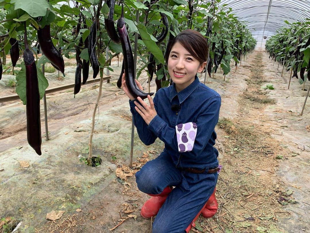 松井絵里奈さんのインスタグラム写真 - (松井絵里奈Instagram)「2019.07.01月曜日  NHK総合 うまいッ！ 12:20〜12:43  放送されます(*˘︶˘*) 熊本県熊本市 大長なすを取材させて いただきましたー❣️ ぜひ、ご覧くださいませ♡ #大長なす#なすび#🍆 #熊本県#熊本市 #うまい#うまいッ #NHK総合#松井絵里奈」6月30日 22時00分 - erina74xx