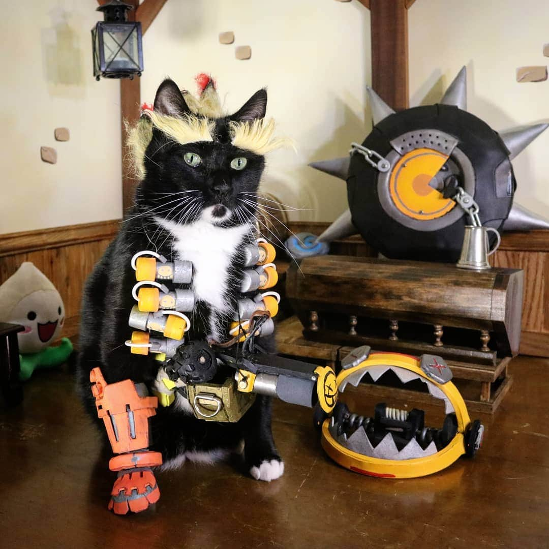 猫コスプレさんのインスタグラム写真 - (猫コスプレInstagram)「Here to confirm if you see tag "CatCosplay" in Overwatch early in the morning on Weekends or an occasional afternoon. 90% chance it's us. Usually it's Mystery Heroes to warm up followed by a bit of Quickplay.  #Overwatch #Junkrat . . . . . . . . #overwatchcosplay #junkratcosplay #blizzard #blizzardcosplay #CatCosplay #cosplay #fanart #Overwatchfanart #cat #catcostume」7月1日 0時50分 - cat_cosplay