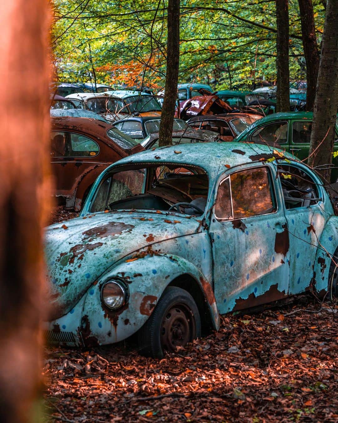 Abandoned Placesさんのインスタグラム写真 - (Abandoned PlacesInstagram)「An old Volkswagen collection rotting away in the woods. Photography by @alexplore23 . . . . . #itsabandoned #decay #ruins #explore #urbex #UrbanExploring #history #adventure #abandonedplaces #photography #abandonedphotography #travel #forgotten #abandoned #allabandoned #gramslayers #artofvisuals #AOV #MoodyGrams #illgrammers #HeaterCentral #createcommune #AGameofTones #create #abandonednature #abandonedEurope #urbexphotography #urbandecay #exploreeverywhere #photography」7月1日 1時12分 - itsabandoned