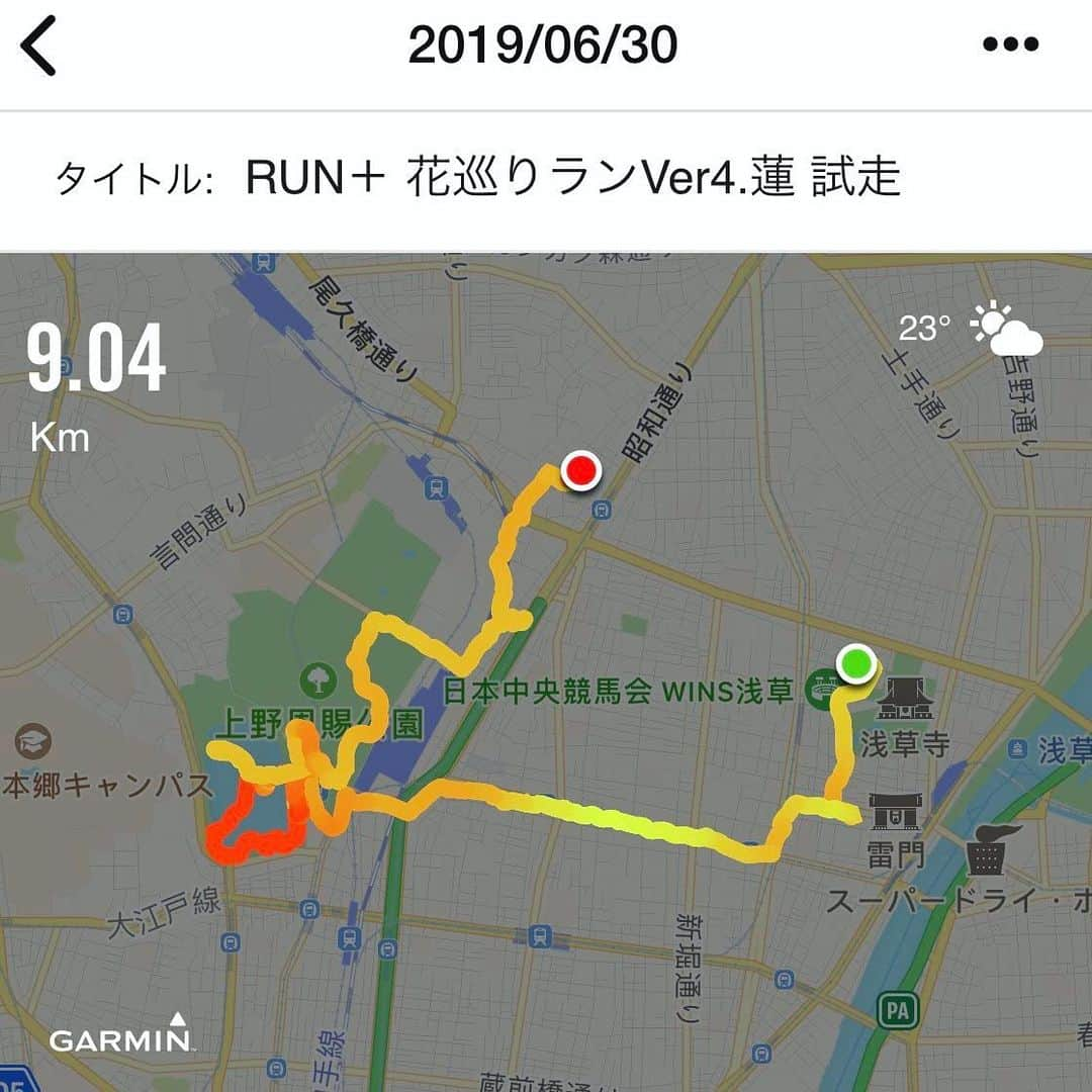 run+さんのインスタグラム写真 - (run+Instagram)「2019.06.15【花巡りランVer4蓮】試走 写真を撮ったりしながら予定コースチェック📍 浅草から上野を通り入谷からぐるっと約11キロくらい。 ・ 霧雨しとしと… 雨粒纏った蓮の蕾や、雨粒に浮かぶ花びら、池から引き揚げてきたスワンボート…など雨の日ならではの景色を見ながらランよりお散歩多めの試散歩。 ・ 七夕の飾り付けで彩られた #小野照崎神社 この日は小野照崎神社の富士塚［下谷坂本富士］はちょうど山開き⛰ 6/30&7/1しか開かれない下谷坂本富士に登頂！ ・ 雨だから見える景色を満喫。とはいえ、当日は晴れますように😆 ・ #蓮 #ハス #御朱印 #run➕α ・ ＊-------------------------------------------------＊ #RUNPLUS #ランニケーション ＊-------------------------------------------------＊ ・ #花見ラン #花見RUN #花見は桜だけじゃないよ ・ #花見 #蓮 #花御朱印 #写ラン #ランニング #RUN #ゆるラン #走れるって幸せ #写ラン ・ #街ラン #街RUN #CITYRUN #RUNNING #ランニング #ジョギング #ゆるラン #ランニング女子 ・ ガーミン #NIKEPLUS #ハシリマスタグラム #ハシリマシタグラム #Runday #RunLovesLife #joyrun  #ランニング好きでカメラ好きな人と繋がりたい」7月1日 12時26分 - runplus