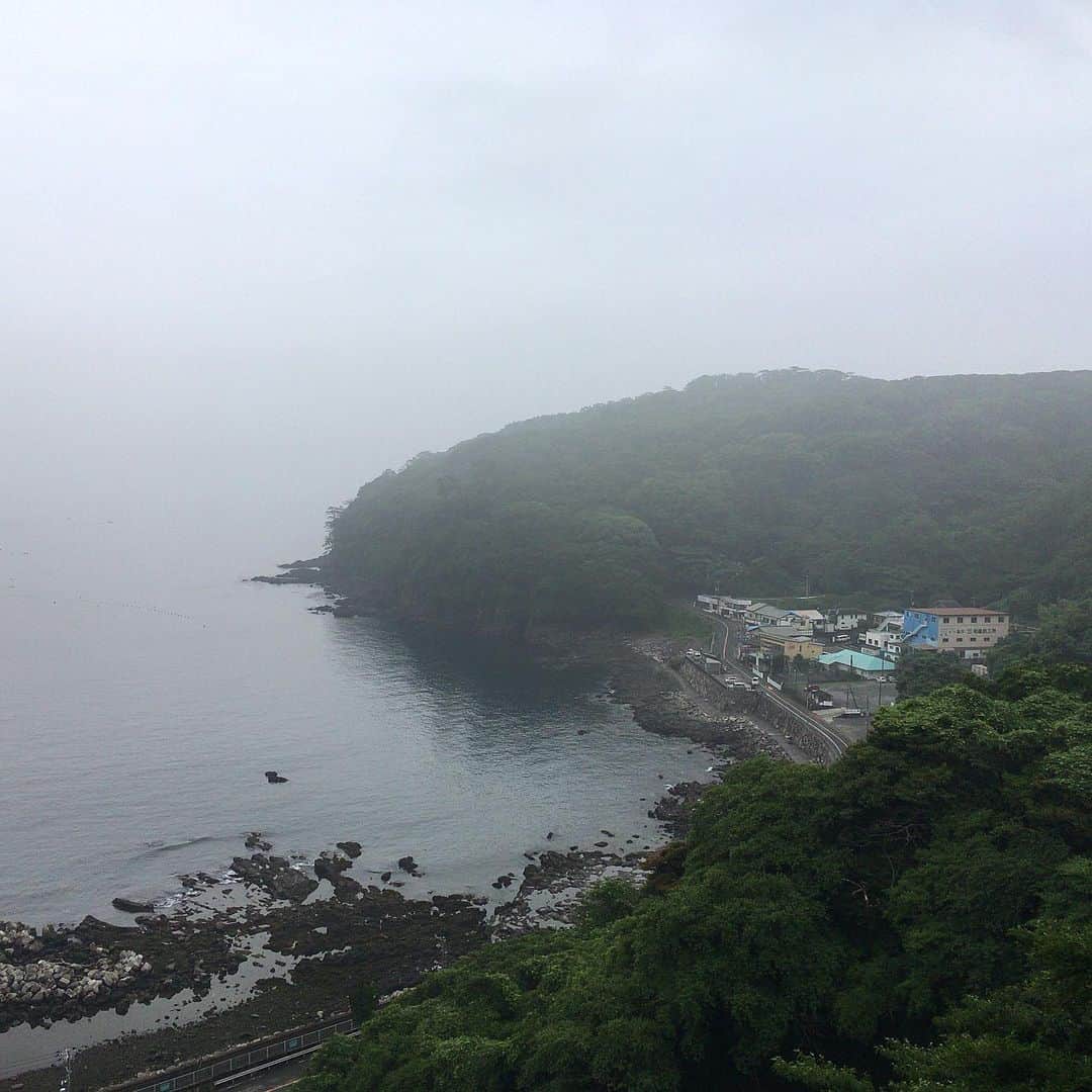 のインスタグラム：「しばらく走れてなかったので、雨の中を軽快に半島ラン！ というイメージで出発したけど、湿度と暑さのせいかダラダラ走って終了。 鍛錬がまるで足りておりませぬわ、わははは。 さてさて、家に帰ってシャワーとご飯、そして仕事やね。 皆さんもステキな雨の月曜日をお過ごし下さい♪ #stopデ部 #ランでした #真鶴半島」