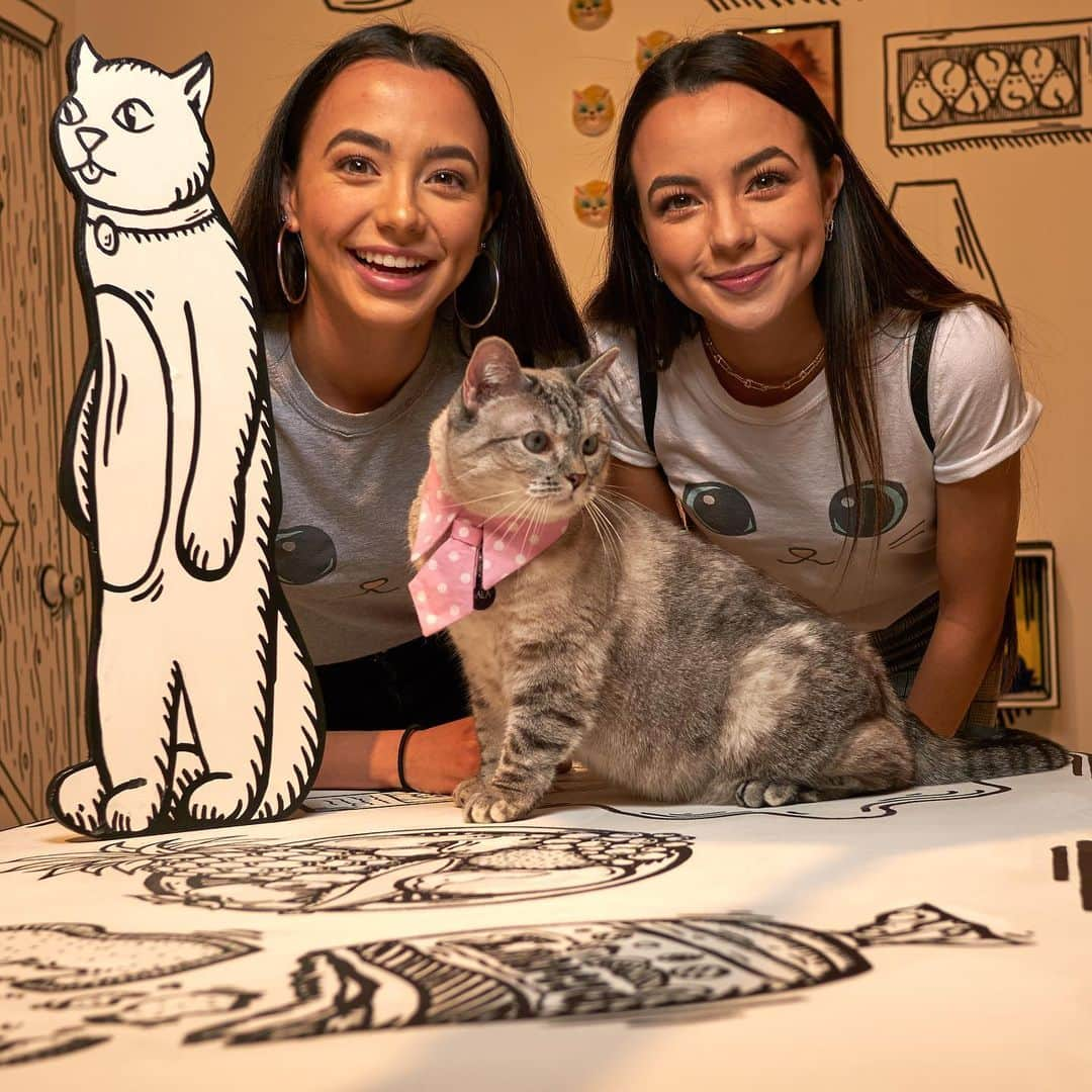 nala_catさんのインスタグラム写真 - (nala_catInstagram)「Swipe⬅️ It was a pleasure meeting everyone  at @catconworldwide this weekend! @merrelltwins @vanessamerrell @veronicamerrell @angelakinsey @ricardo @aaronsanimals @pudgethecat」7月1日 11時25分 - nala_cat