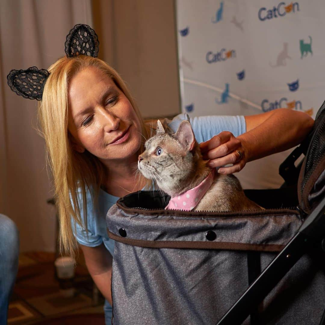 nala_catさんのインスタグラム写真 - (nala_catInstagram)「Swipe⬅️ It was a pleasure meeting everyone  at @catconworldwide this weekend! @merrelltwins @vanessamerrell @veronicamerrell @angelakinsey @ricardo @aaronsanimals @pudgethecat」7月1日 11時25分 - nala_cat