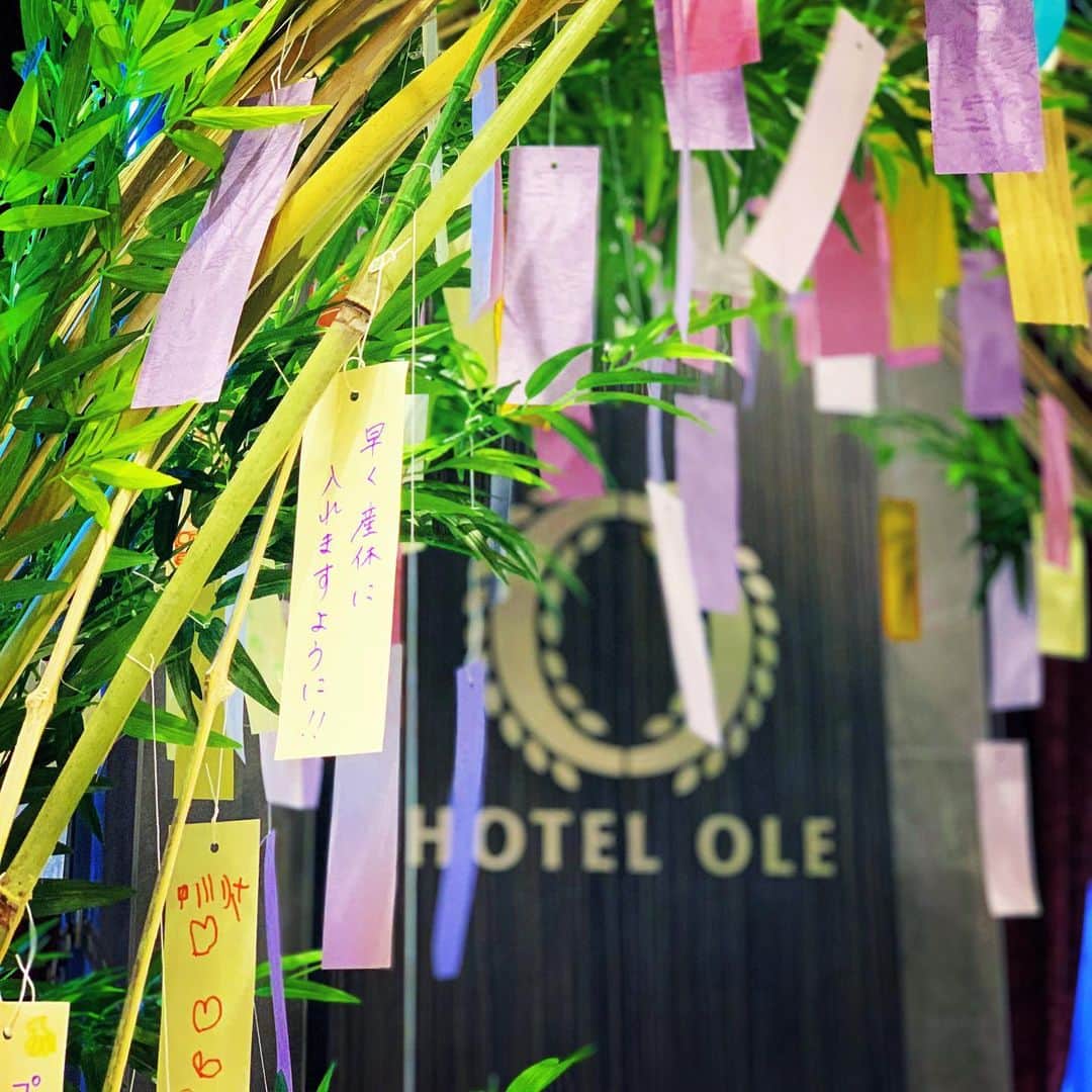 ホテルオーレ　ブロッサモーレのグルメインスタ