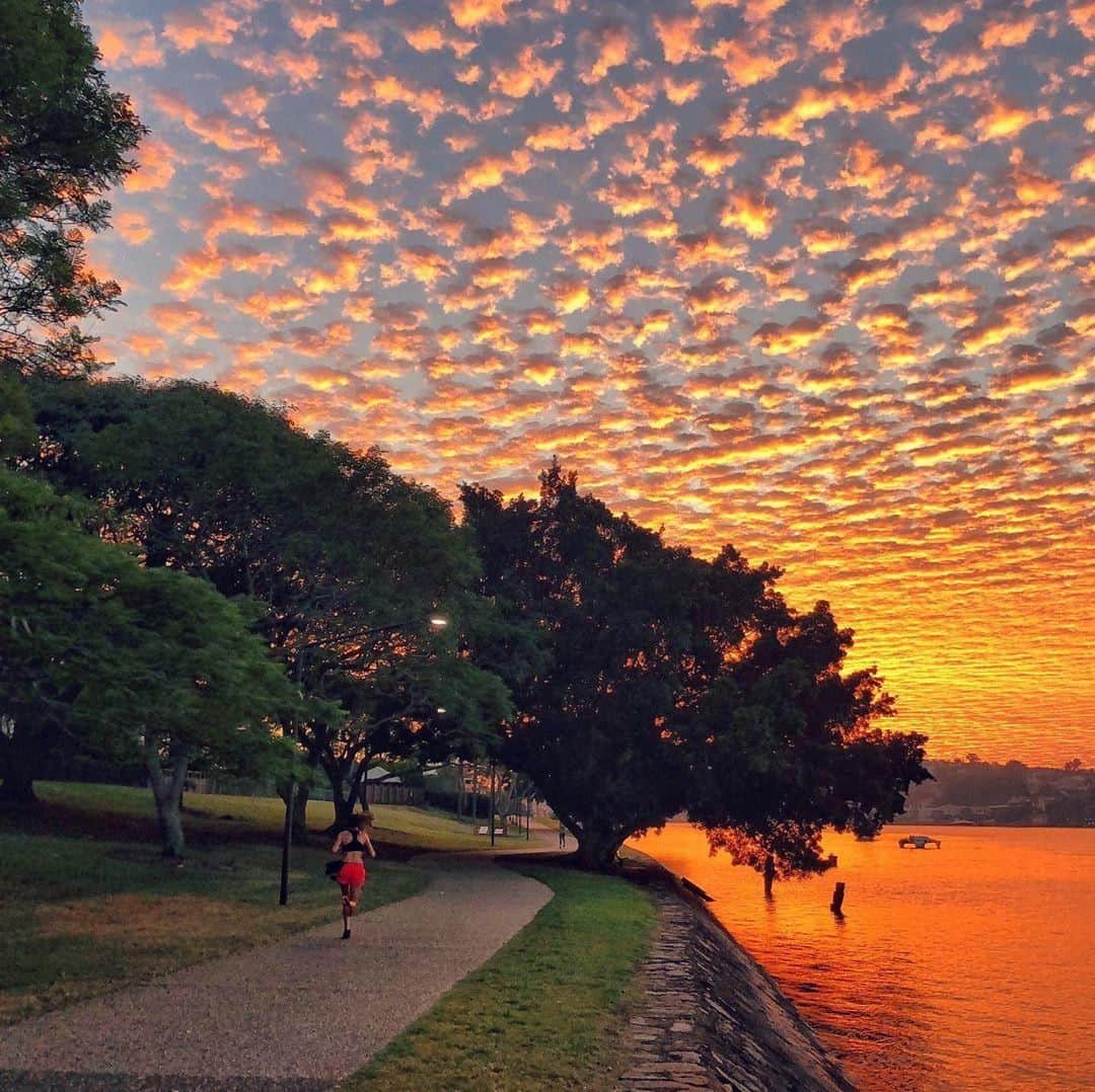 Australiaさんのインスタグラム写真 - (AustraliaInstagram)「It’s amazing how much more enjoyable exercise can be with a #sunrise backdrop, like this one captured by @imlee_ at @queenland’s #NewFarm. 🏃🏻‍♀️🌅 This inner city suburb in @visitbrisbane encourages an outdoor lifestyle, with tree-lined streets and incredible riverfront location with open spaces like #NewFarmPark, perfect for when you want to stay active on your travels. Our tip: Pick up some fresh local produce and coffee from @janpowersfarmersmarkets at @Bris_Powerhouse on Saturdays for a picnic, then walk off those calories around the park.  #seeaustralia #thisisqueensland #thisisbrisbane #thegreatoutdoors #sunriselovers」7月1日 4時00分 - australia