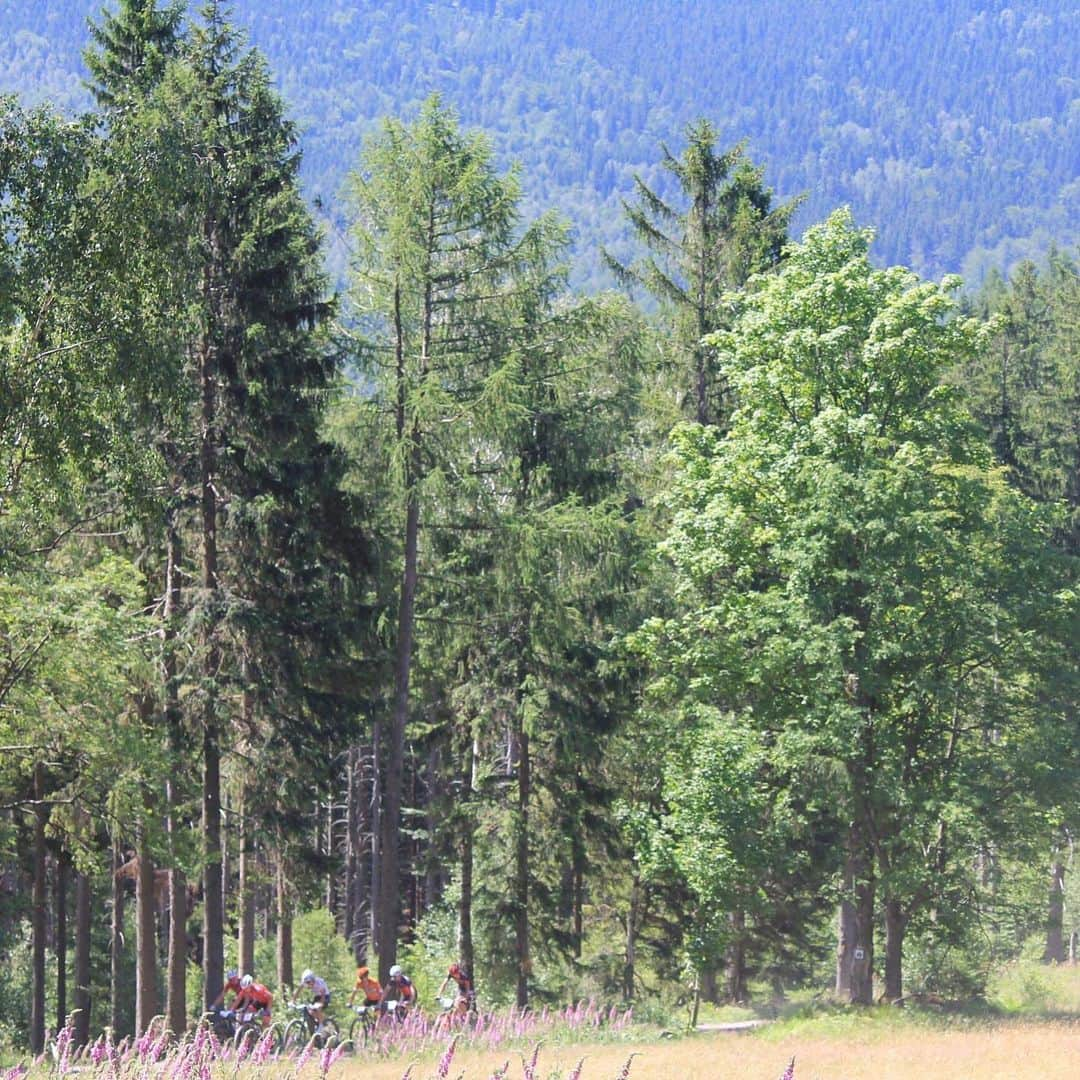 山本幸平さんのインスタグラム写真 - (山本幸平Instagram)「4th today’s stage. Chasing hard final 15km front group...... also general 4th now. 2 more days is coming 😄👌Photo : @tomoochiba」7月1日 4時18分 - kohey55