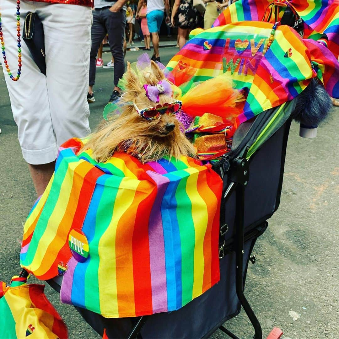 サラ・バレリスさんのインスタグラム写真 - (サラ・バレリスInstagram)「#pride」7月1日 5時27分 - sarabareilles