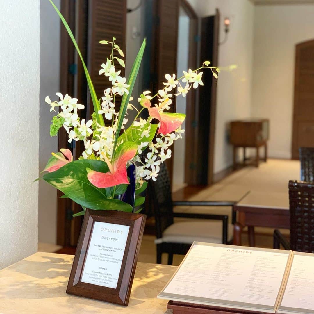 吉田美紀さんのインスタグラム写真 - (吉田美紀Instagram)「・ ・ 母娘3代で過ごすハワイでの週末🌴 HalekulaniのOrchidsでのんびり朝食を🍴 ・ みんなそれぞれよく喋る！ ずーっと喋ってる😅 ・ #orchids #halekulani #breakfast #hawaii #honolulu #diamondhead #オーキッズ #ハレクラニ #朝食 #週末 #ダイヤモンドヘッド」7月1日 5時32分 - miki__yoshida