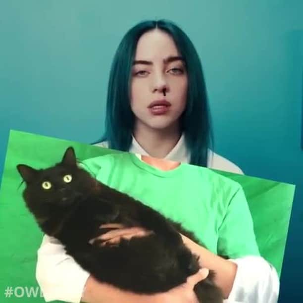Aww Clubのインスタグラム