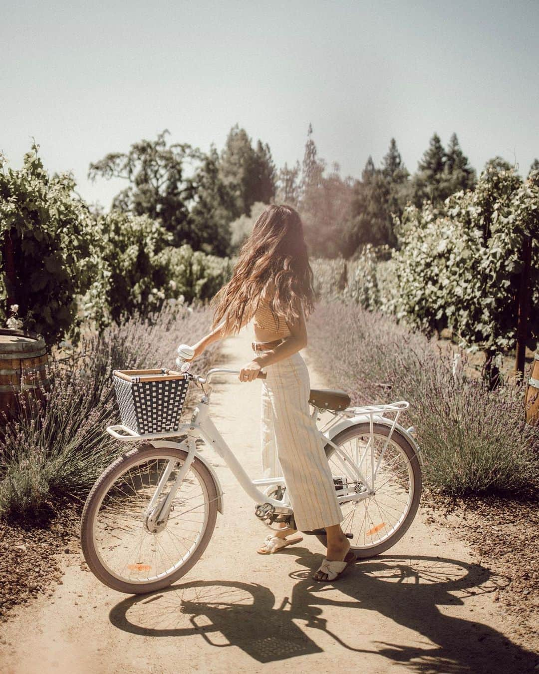 W E Y L I Eさんのインスタグラム写真 - (W E Y L I EInstagram)「Get in sister, we’re gonna go biking 🚲 I also just noticed my hair is almost touching my butt now 🙀 I’ve waited 2 years for this day! Added fullness from my extensions done by @daniellekwhite @dkwstylingsalon」7月1日 6時08分 - weylie