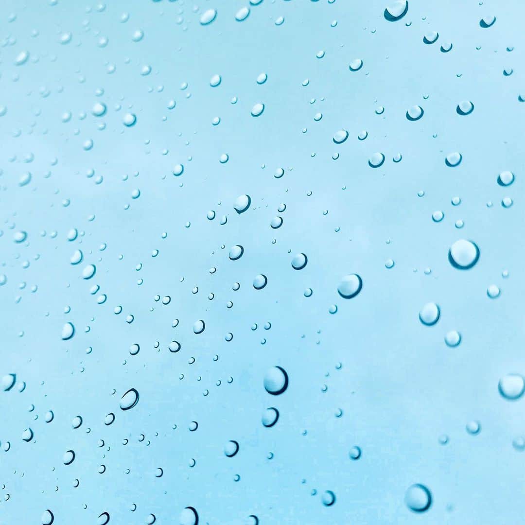 sioneのインスタグラム：「今朝も雨。 もう7月ですって。一年折り返し、日が流れるのが早すぎるー」