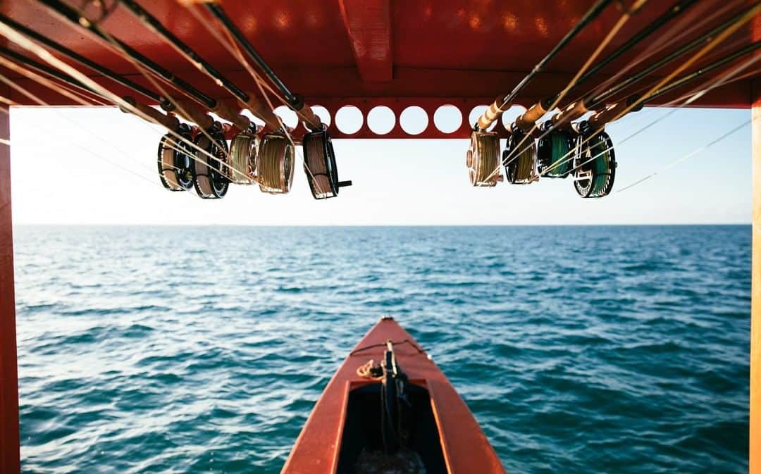 のインスタグラム：「Let the quiver be your compass. 📷 @jeremykoreski @frigatetravel #seewhatsoutthere」