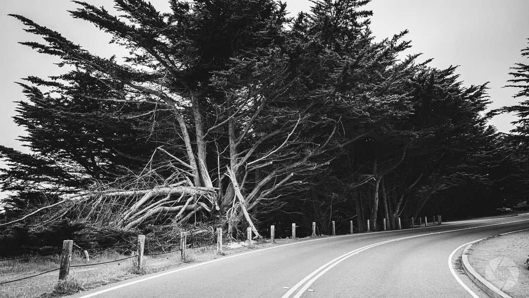 ハウィー・ケンドリックさんのインスタグラム写真 - (ハウィー・ケンドリックInstagram)「Endless Road. #leicaQ #sanfrancisco」7月1日 7時06分 - hkendrick47