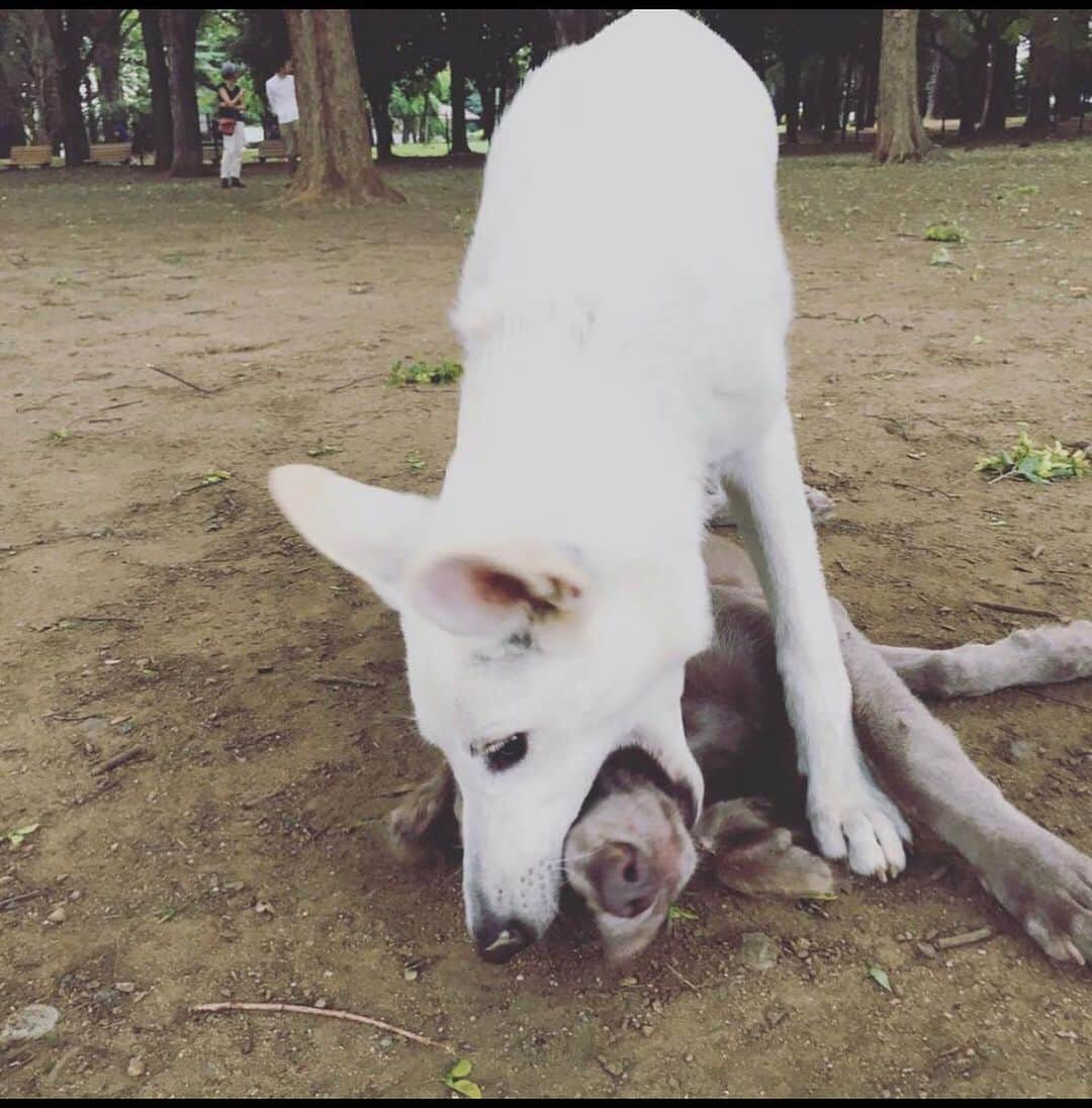 宮前真樹のインスタグラム