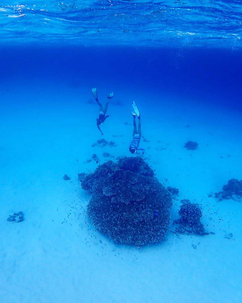 のインスタグラム：「透明度の良い海で泳ぎたい🤤 . 今日から7月！ 今月はあちこちに行けるから楽しみ😊 . 📍#慶良間諸島 . #igersjp#icu_japan#wu_japan#team_jp_#japan_daytime_view#lovers_nippon#travel#okinawa#japan#instatrip#沖縄#海#ビーチ#water_of_our_world#beach#sea#ocean#onebreath#divermag#loves_okinawa#lascuba#snorkeling#沖縄好きな人と繋がりたい#genic_okinawa#genic_beach#タビジョ#unknownjapan#阿嘉島」