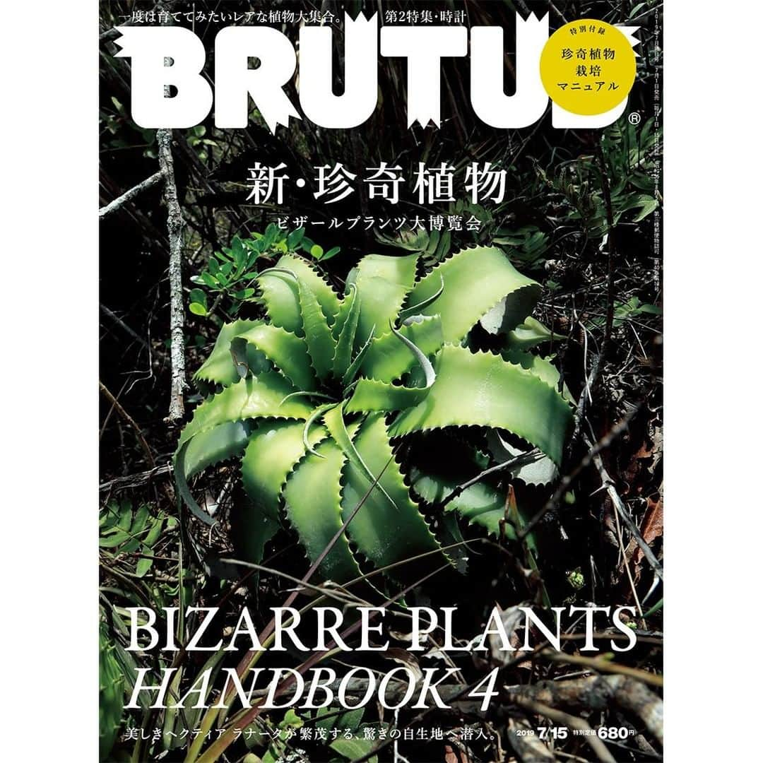 ブルータスさんのインスタグラム写真 - (ブルータスInstagram)「【珍奇植物★本日7月1日発売】新・珍奇植物 ビザールプランツ大博覧会。珍奇な見た目の植物から生態が不思議な植物、さらには栽培術まで徹底的に解説します。  #ブルータス #brutus #珍奇植物 #植物 #多肉植物 #観葉植物 #植物のある暮らし #花 #botanical #plants #nature#植物図鑑」7月1日 9時00分 - brutusmag