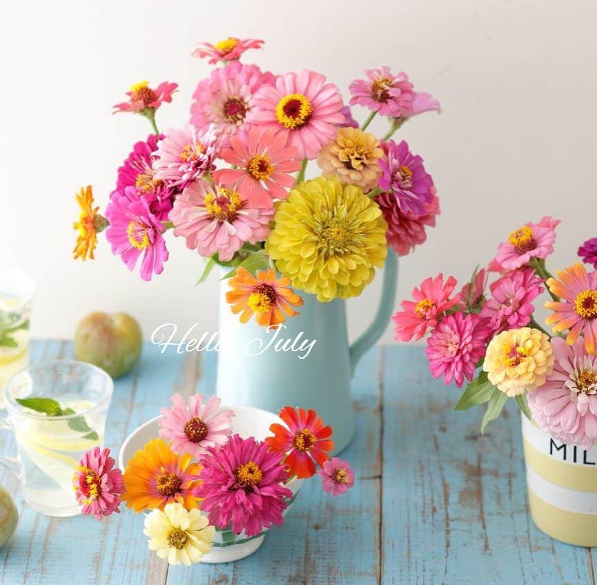 雑誌『花時間』さんのインスタグラム写真 - (雑誌『花時間』Instagram)「おはようございます。さてさて、今日から文月7月の章が始まりましたね！  今月はどんな花を飾りますか？  雨続きの毎日には、ぱあっと明るい花。ジニア（百日草）なら、さまざまな色と咲き方をミックスするだけで、ほかにな〜んにもいらないかわいさになるんです。いける際は❶葉を取り、❷浅いお水にいけること。水が濁りやすい季節ですからね、水替えのたびに器の中も台所用洗剤で、キュキュッと洗いましょう。ちなみに、花器を洗うとき、私が使うのはコップ洗い用の柄つきスポンジ🧽。手が入りにくいピッチャーも、ラクラク洗えます。では、今週も元気smile😊😊😊で頑張りましょう！ by ピーターパン  花 @brindilleflowers  写真 @落合里美  #hana #flower #flowers #flowerslovers #flowerstagram #flowerarrangement #colorful #花時間 #花時間2017 #花 #花好き #花藝 #花好きな人と繋がりたい #花が好きな人と繋がりたい #花のある生活 #花のある暮らし #ジニア  #百日草 #Zinnia #夏の草花 #草花が好き #日々の花 #かわいい花  #花屋さんへ行こう」7月1日 9時15分 - hanajikan_magazine