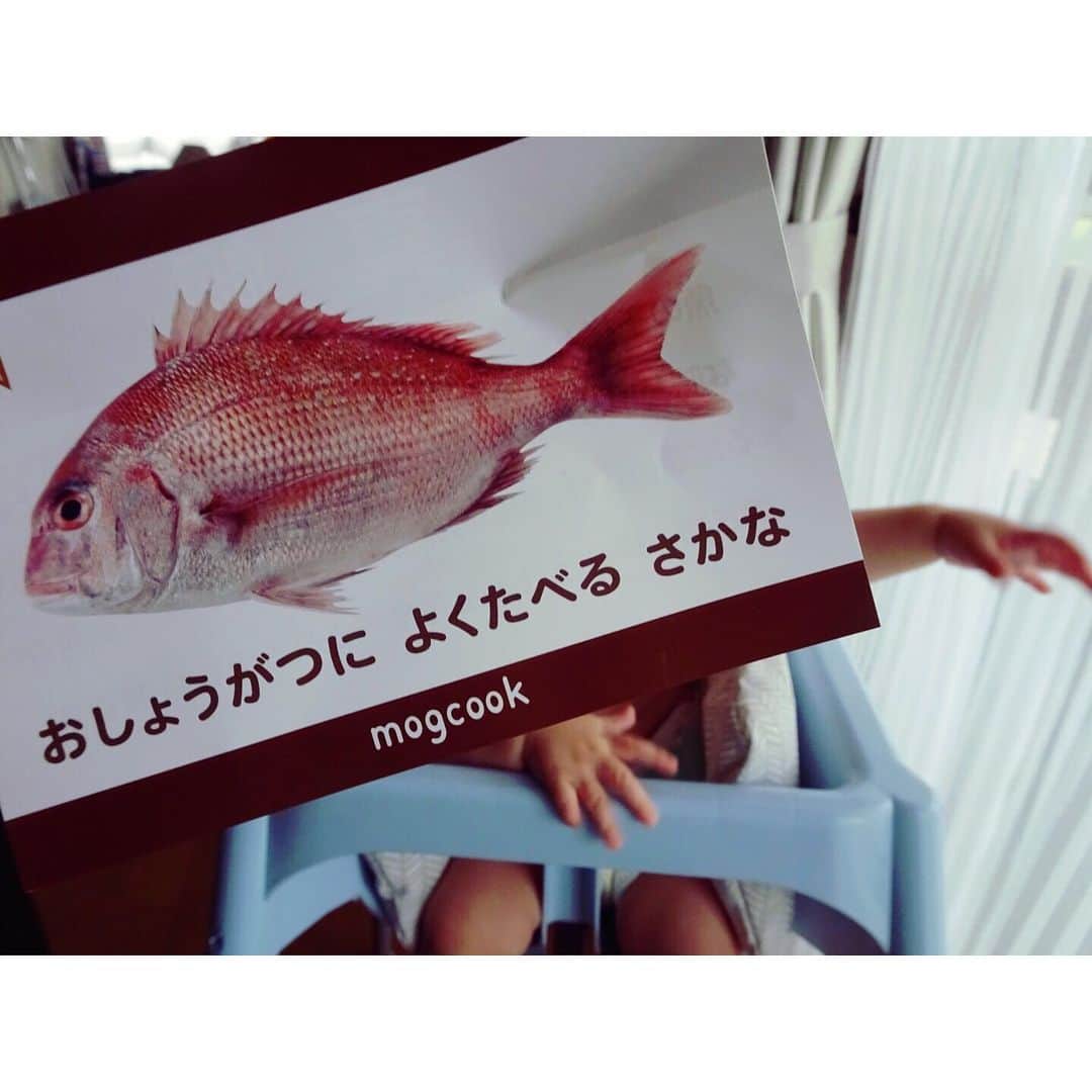 イレーネのインスタグラム：「前から気になってた mogcookのおさかな 三重県の新鮮なお魚を少しずつパッケージして、使いやすくしてくれてる。おさかな図鑑も面白くて大人が楽しいです  ただし！初めての鯛はあんまりお気に召さなかったようで悶絶してました😎レッツトライアンドエラー  #mogcook #モグック #三重県」
