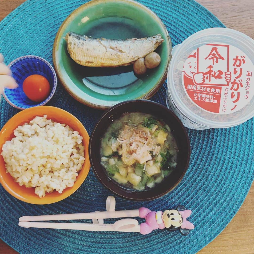 齊藤美絵さんのインスタグラム写真 - (齊藤美絵Instagram)「今朝の娘ごはん🍽🍀 移動販売の魚屋さんがピカピカの鰯を薦めてくれたので ＋鰯の梅煮 ＋玄米 ＋具沢山お味噌汁 (干し椎茸・切干し大根・玉ねぎ・えのき・ほうれん草・おあげ・鰹節・お味噌) ＋プチトマト ＋カネジョウ玄米ふりかけ  いただきもののこのカネジョウのふりかけに親娘でハマっています。 カリカリサクサクの食感、 香ばしい香り、食材の旨味 全てがベストバランス！  余計なものを使っていないのも 嬉しくて🍀  Chihiroさん、ありがとうございます🌈✨ あっ、プチトマトが一つ消えた！  #朝ごはん #娘ごはん #3歳 #幼児食 #食育 #和食 #鰯の梅煮 #玄米  #お味噌汁 #カネジョウ #ふりかけ #鰹節 #本枯れ節 #にんべんだしアンバサダー #フードマエストロ #foodmaestro #ツタエルヒト。」7月1日 9時58分 - saitomie